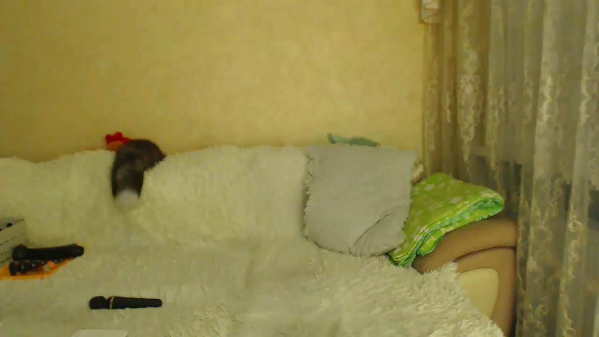 Gallery image thumbnail from WebcamSlutxx's myfreecams stream on, 09/14/2026, 18:56 image 19 of 20