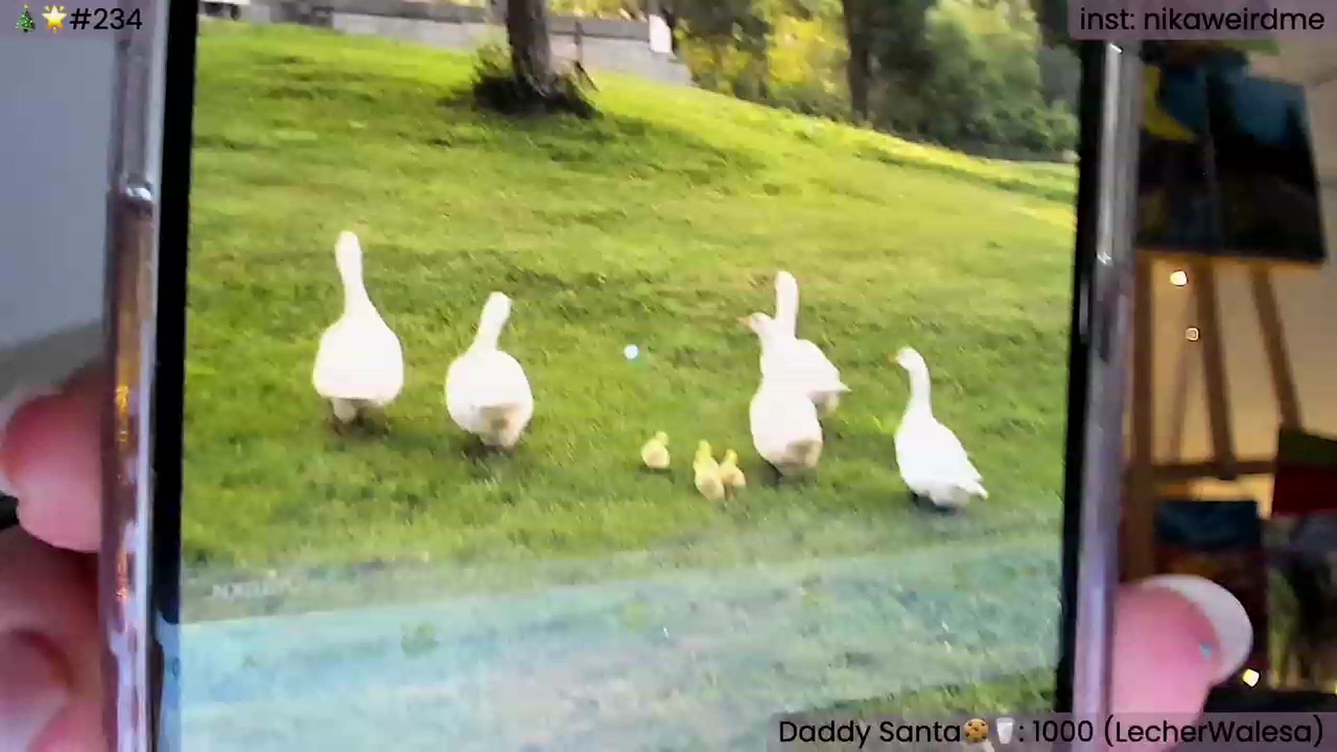 Gallery image thumbnail from WeirdMe's myfreecams stream on, 01/27/2024, 19:05 image 2 of 20