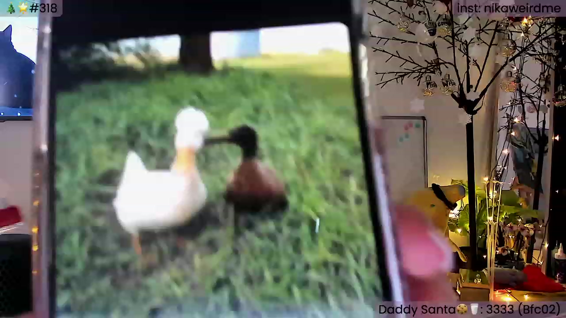 Gallery image thumbnail from WeirdMe's myfreecams stream on, 02/04/2024, 16:16 image 3 of 20