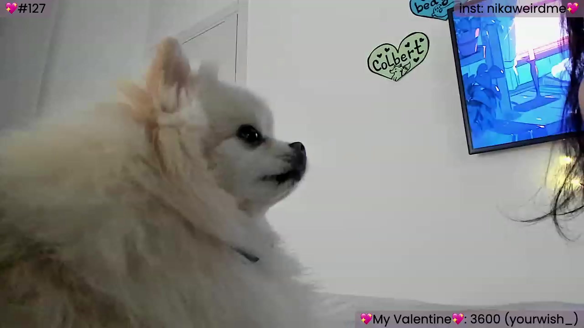 Gallery image thumbnail from WeirdMe's myfreecams stream on, 02/11/2024, 15:31 image 14 of 20
