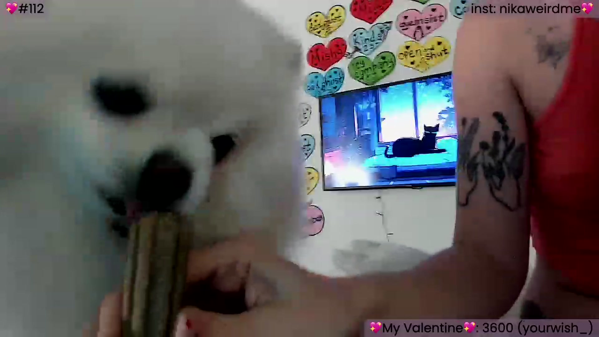 Gallery image thumbnail from WeirdMe's myfreecams stream on, 02/18/2024, 14:24 image 7 of 20