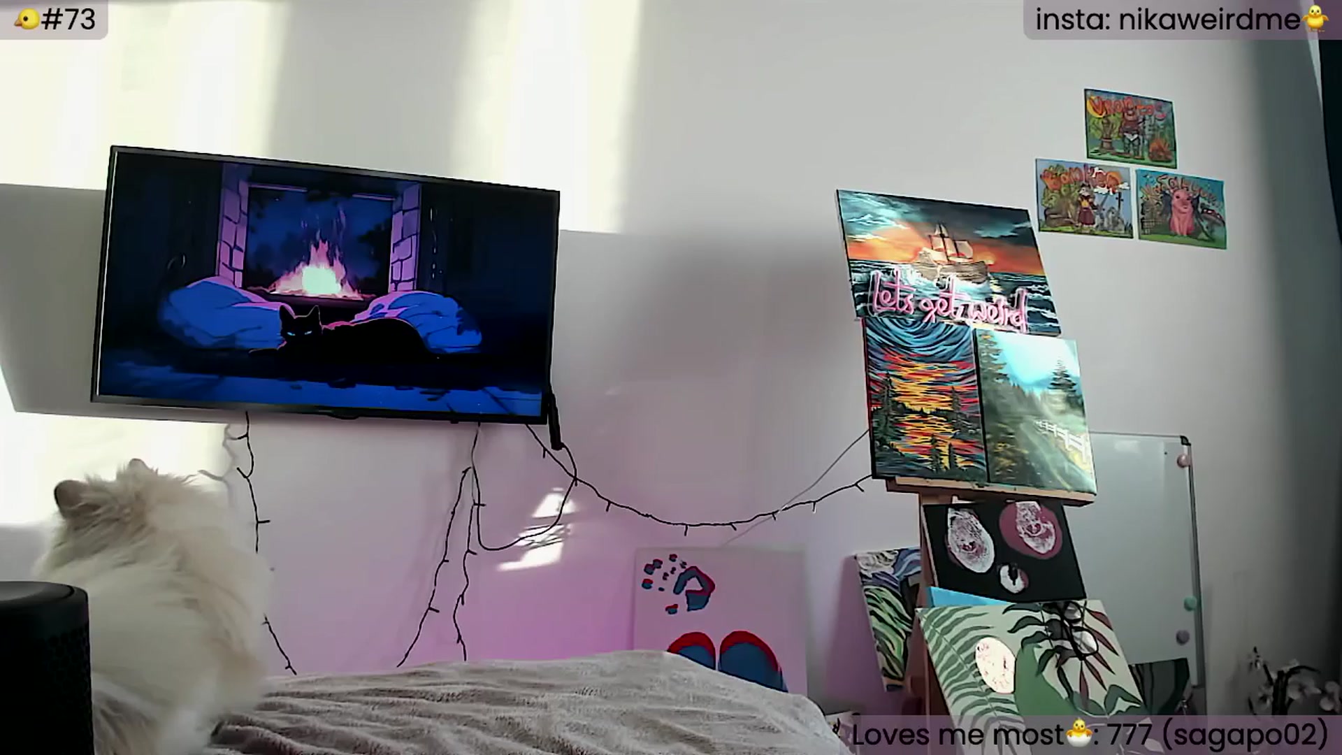 Gallery image thumbnail from WeirdMe's myfreecams stream on, 05/10/2024, 17:14 image 13 of 20