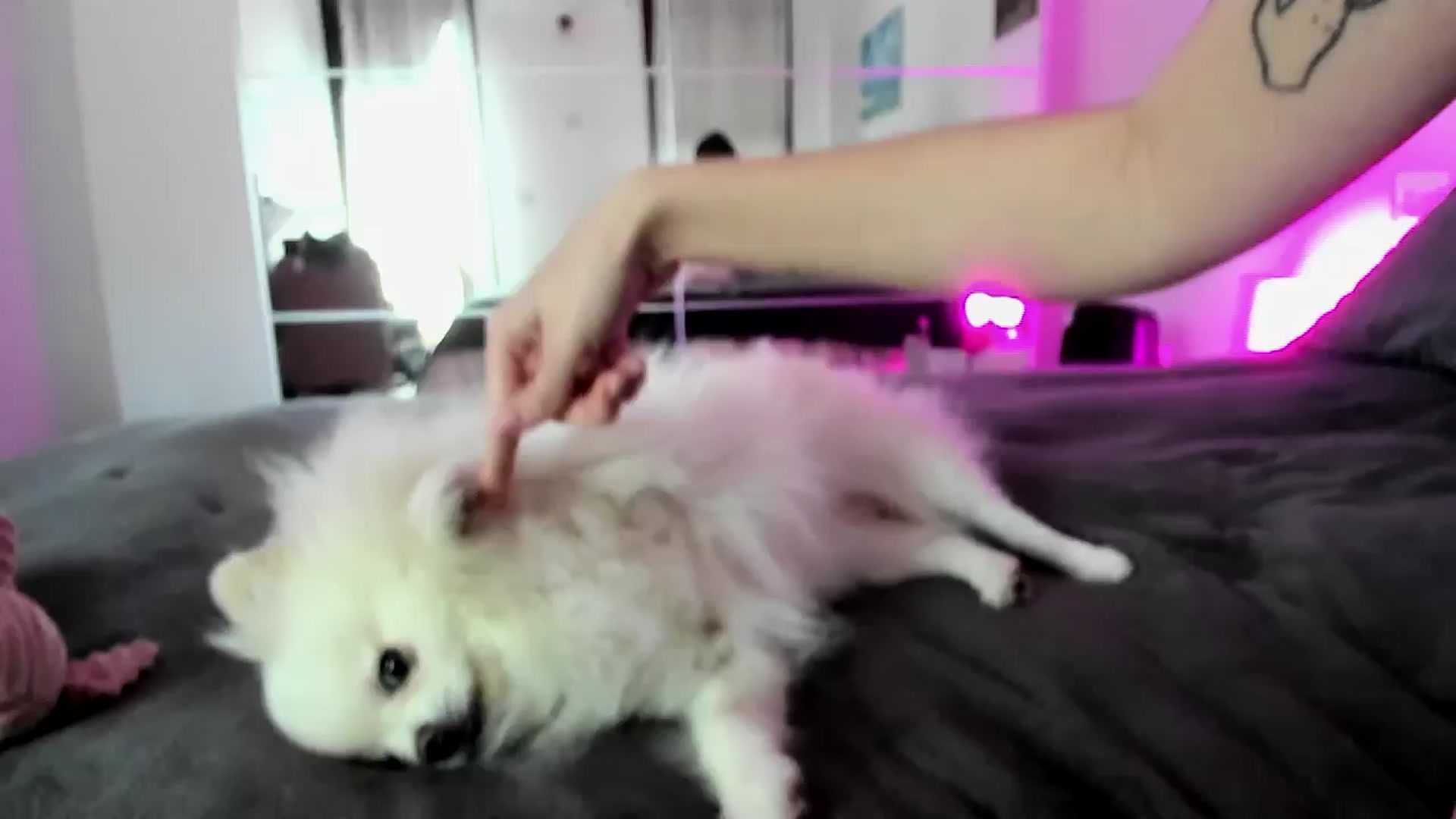 Gallery image thumbnail from WeirdMe's myfreecams stream on, 01/26/2025, 14:15 image 2 of 20