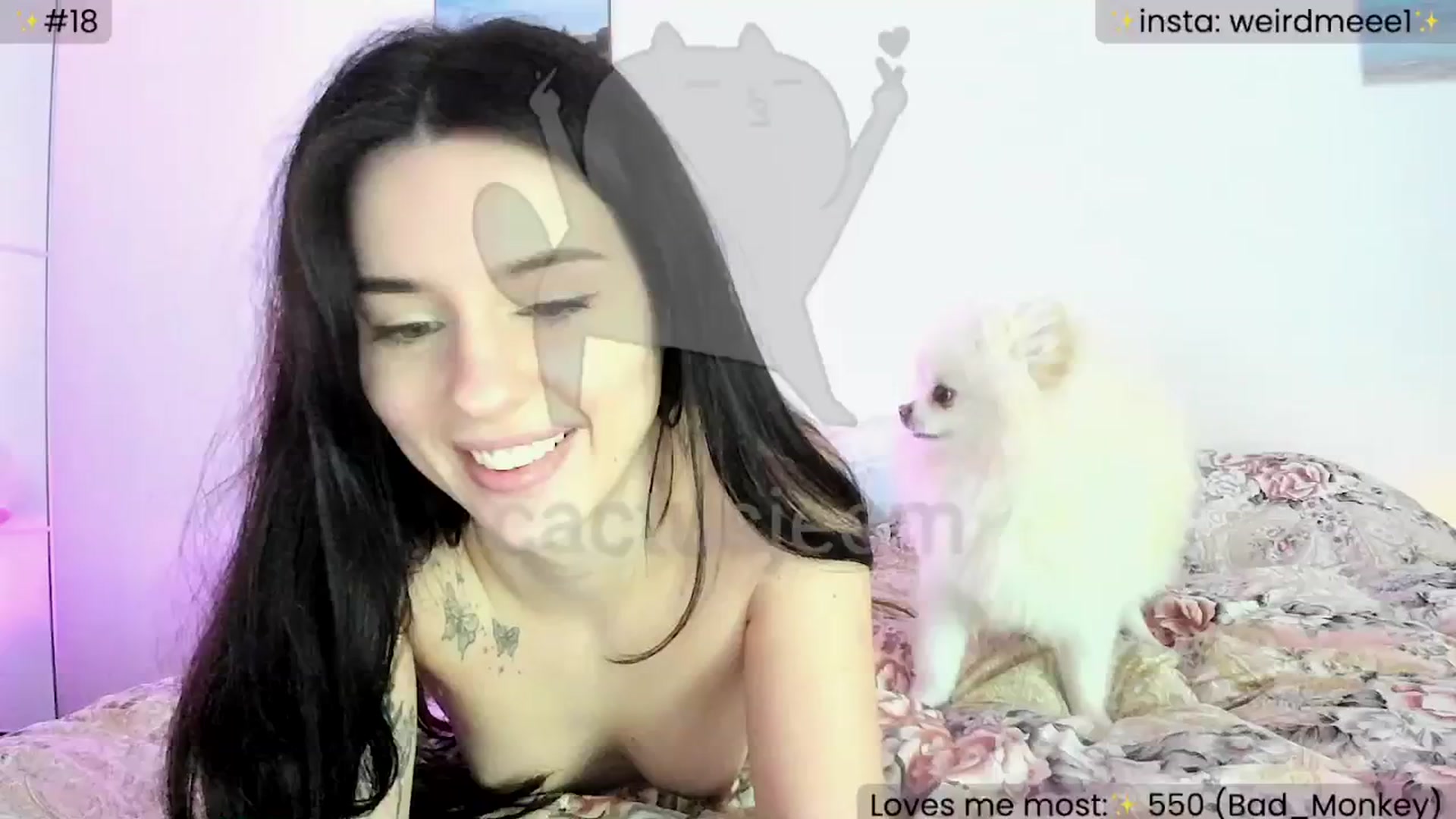 Gallery image thumbnail from WeirdMe's myfreecams stream on, 02/02/2025, 14:39 image 19 of 20