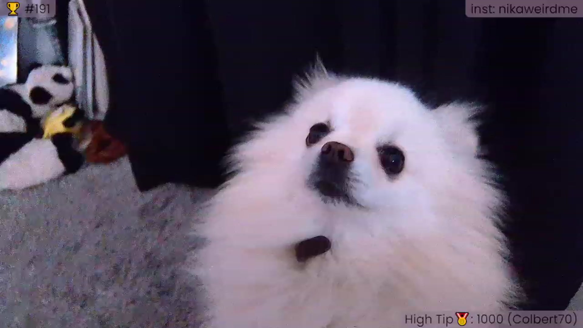 Gallery image thumbnail from WeirdNikusik's myfreecams stream on, 07/05/2023, 18:20 image 5 of 20