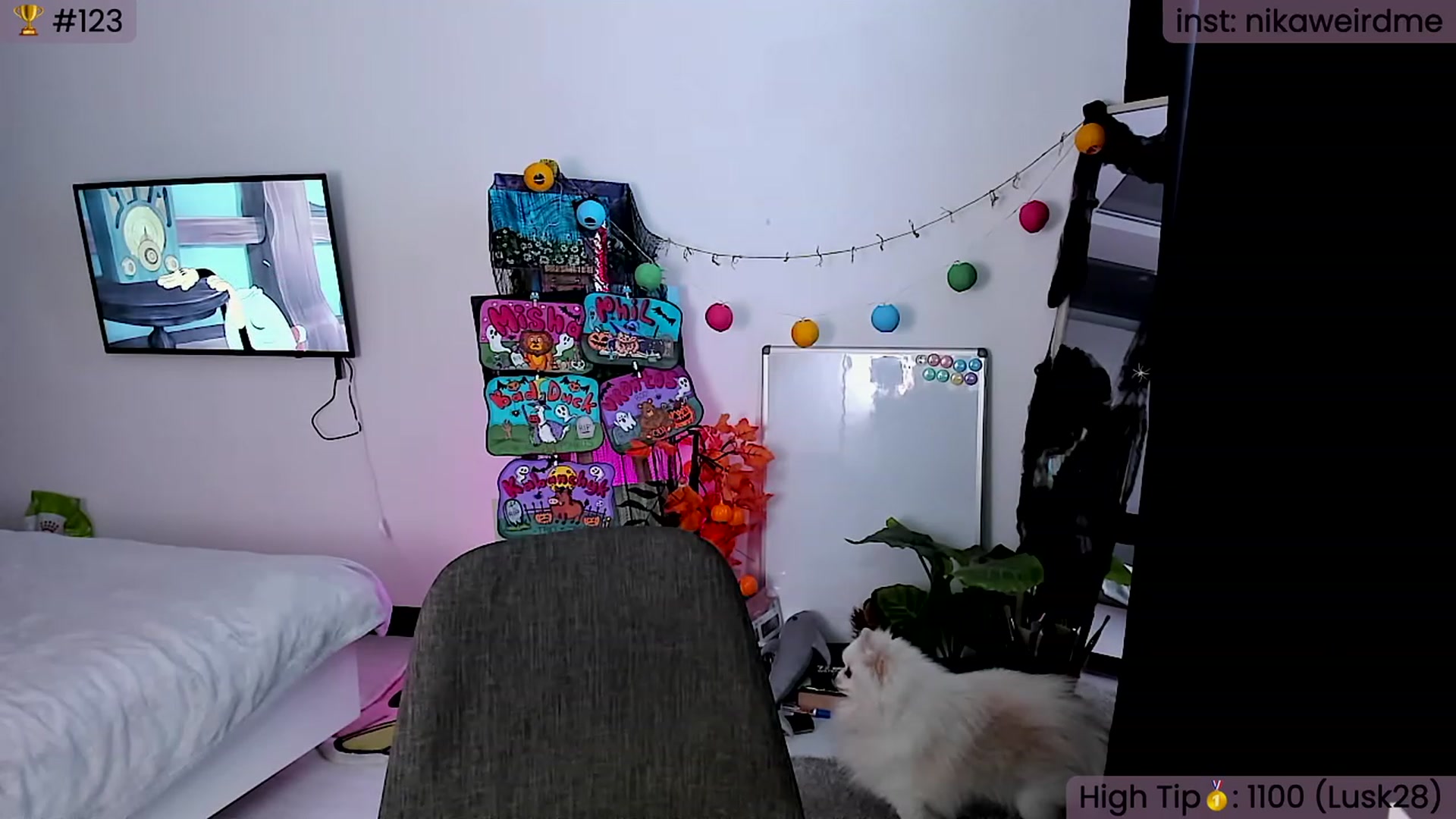 Gallery image thumbnail from WeirdNikusik's myfreecams stream on, 11/12/2023, 10:18 image 7 of 20