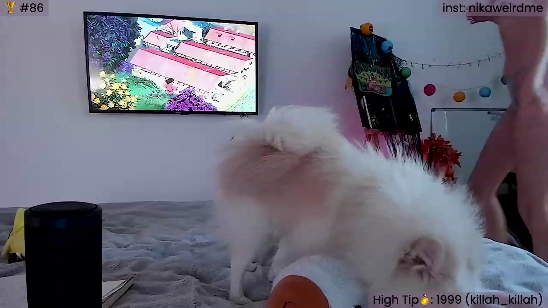 Gallery image thumbnail from WeirdNikusik's myfreecams stream on, 11/18/2023, 08:52 image 7 of 20