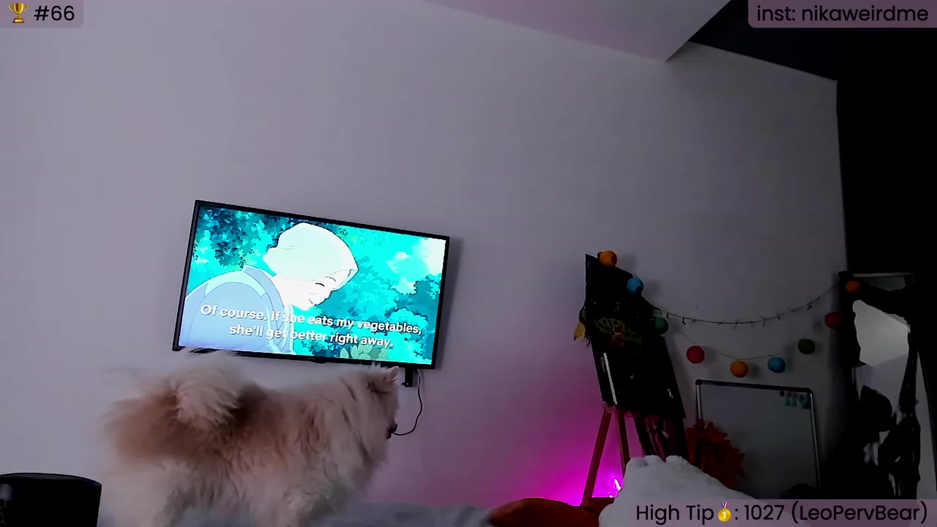 Gallery image thumbnail from WeirdNikusik's myfreecams stream on, 11/19/2023, 16:09 image 13 of 20