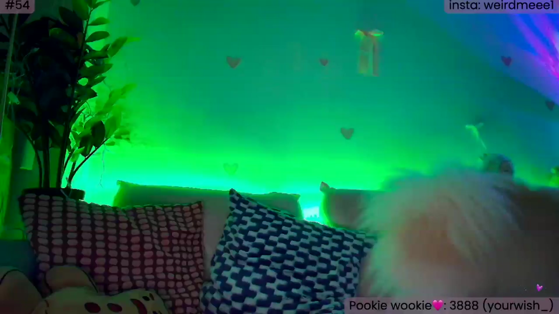 Gallery image thumbnail from WeirdWho's myfreecams stream on, 07/11/2026, 21:23 image 12 of 20