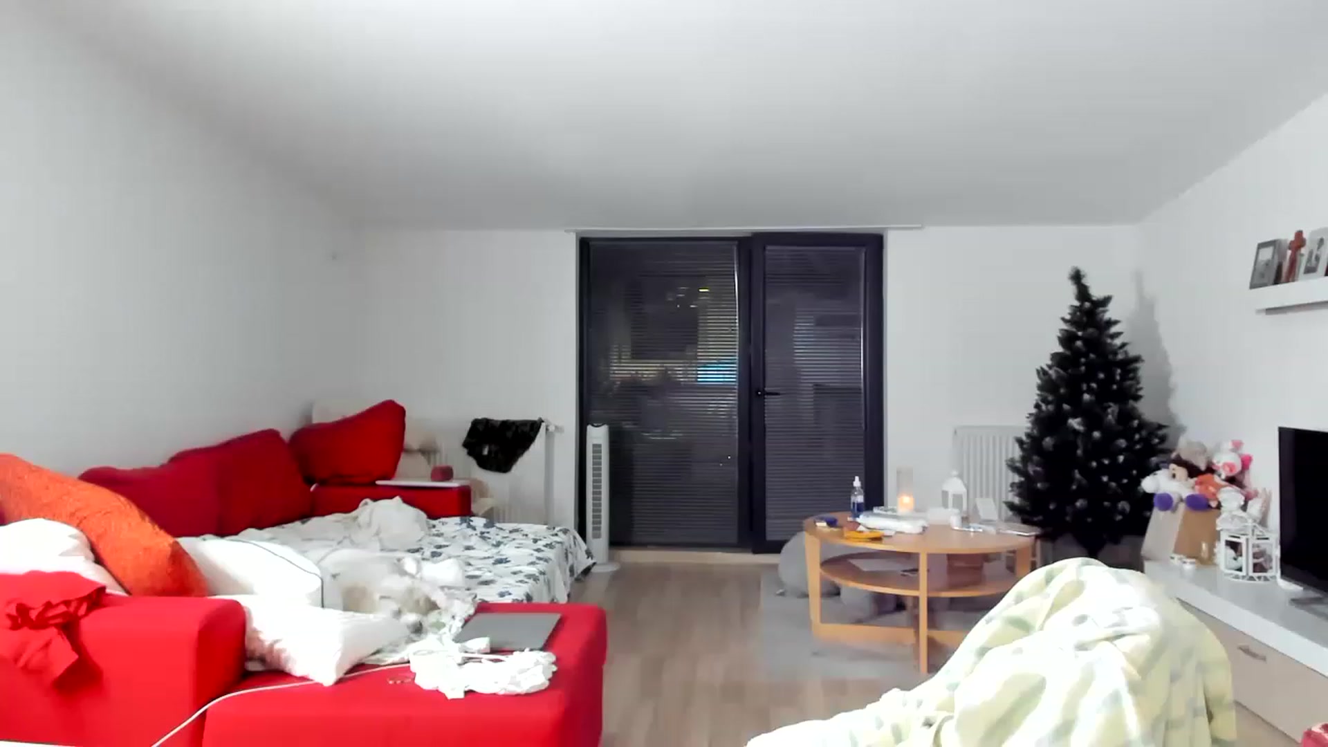 Gallery image thumbnail from Wennndyk's myfreecams stream on, 11/25/2022, 24:31 image 17 of 20