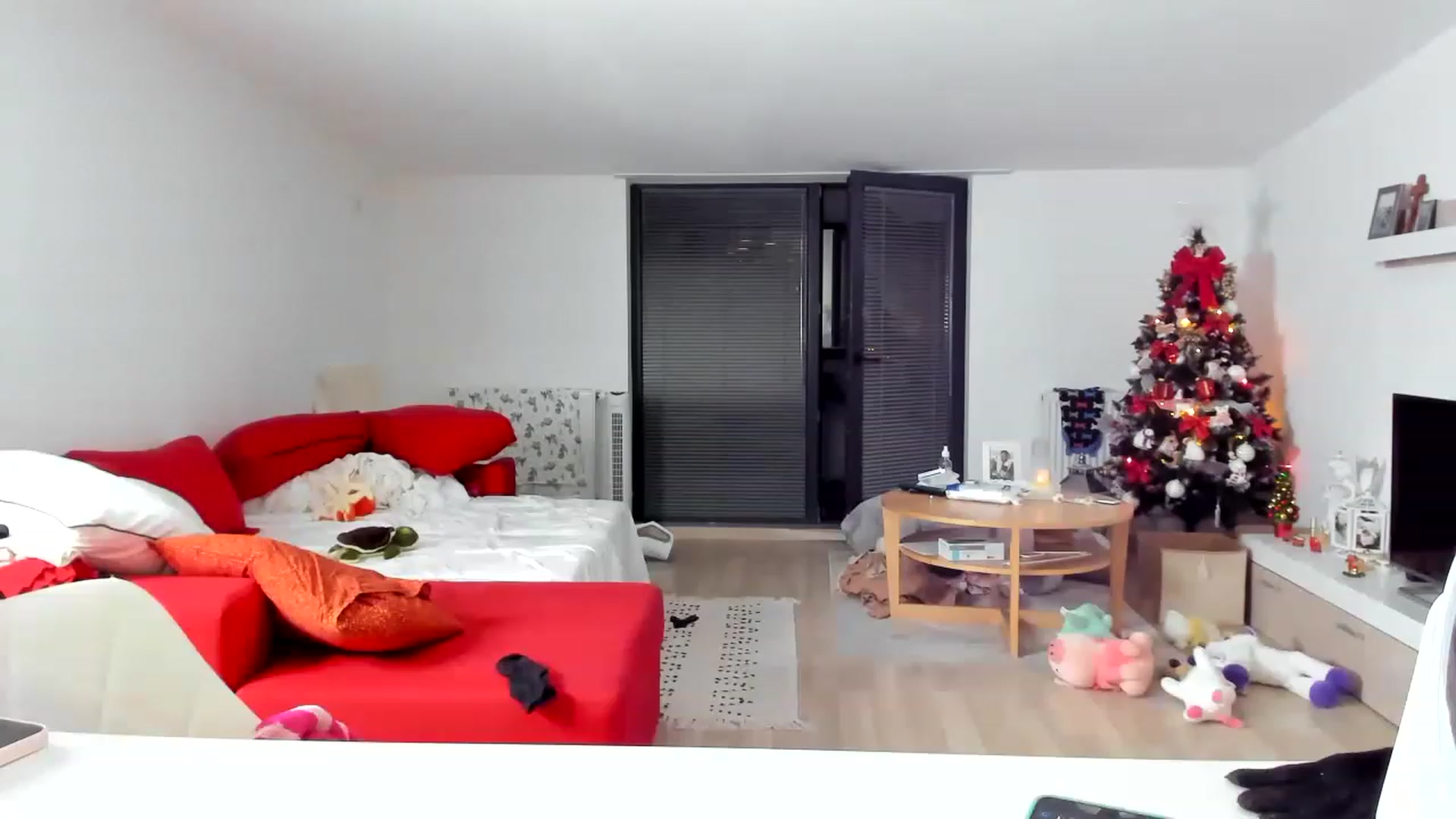 Gallery image thumbnail from Wennndyk's myfreecams stream on, 12/09/2022, 02:20 image 14 of 20