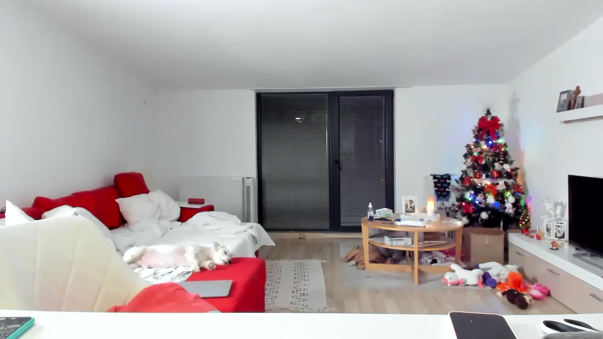 Gallery image thumbnail from Wennndyk's myfreecams stream on, 12/10/2022, 23:51 image 11 of 20