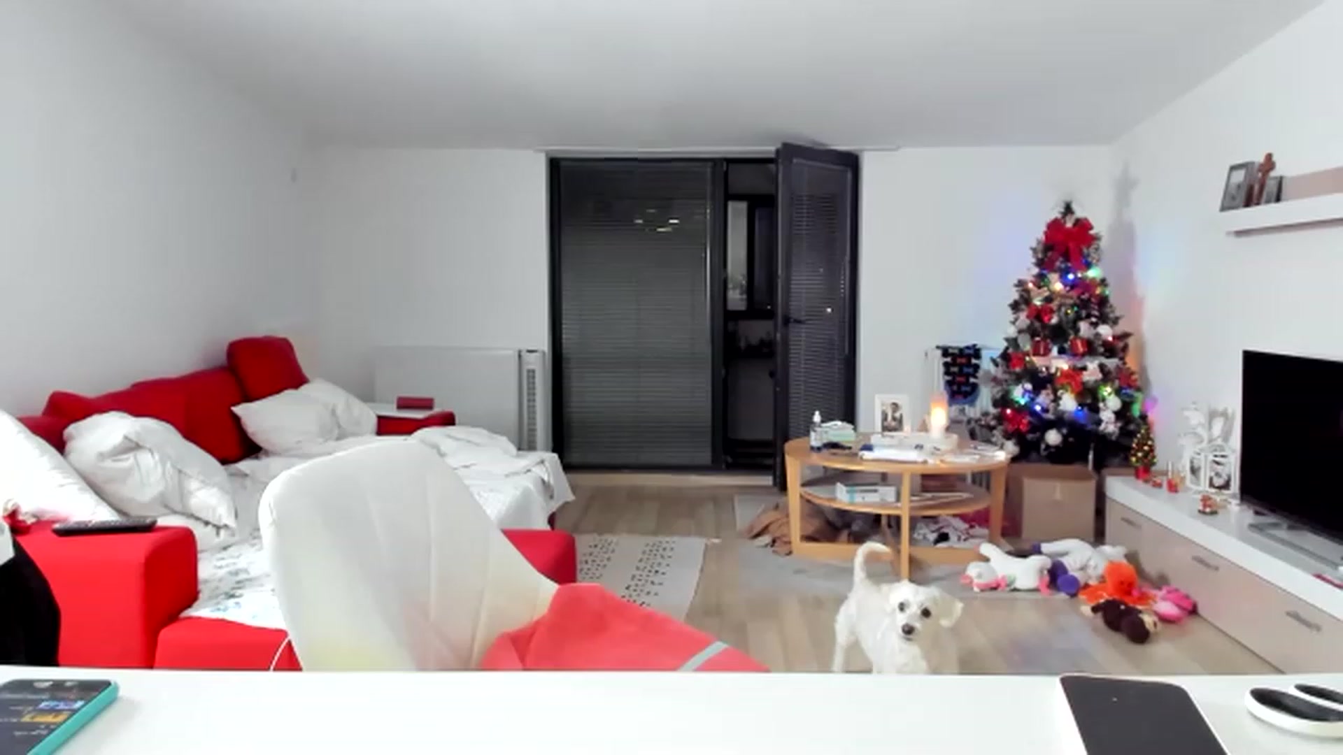 Gallery image thumbnail from Wennndyk's myfreecams stream on, 12/11/2022, 01:00 image 14 of 20