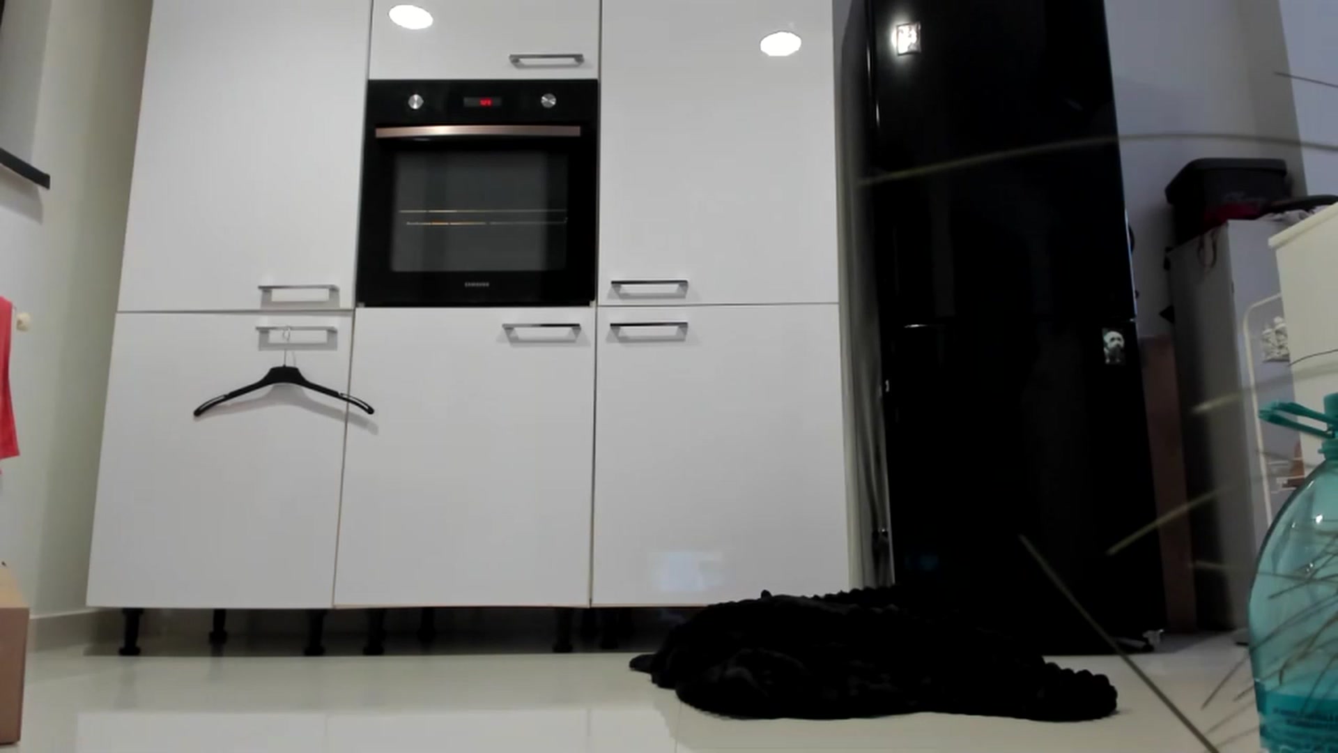 Gallery image thumbnail from Wennndyk's myfreecams stream on, 12/23/2022, 22:49 image 10 of 20