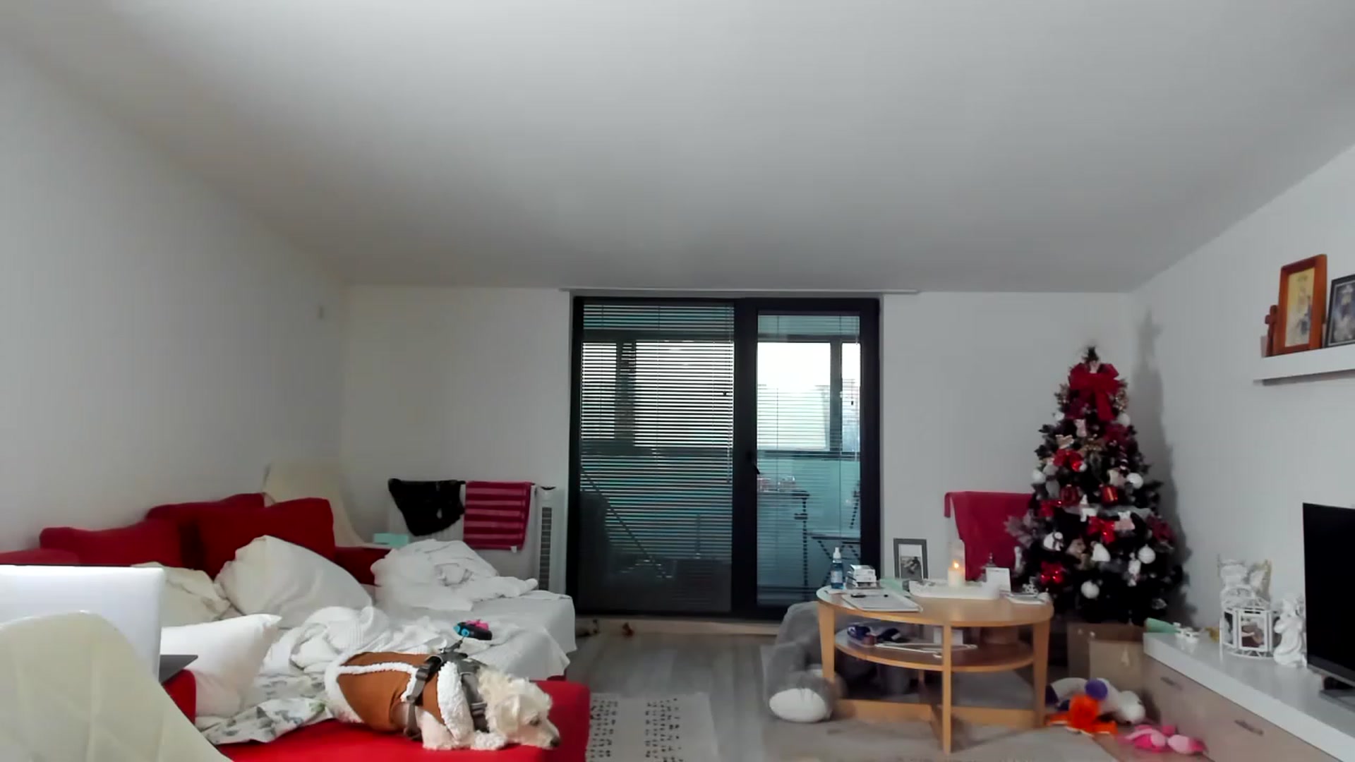 Gallery image thumbnail from Wennndyk's myfreecams stream on, 12/25/2022, 05:51 image 18 of 20