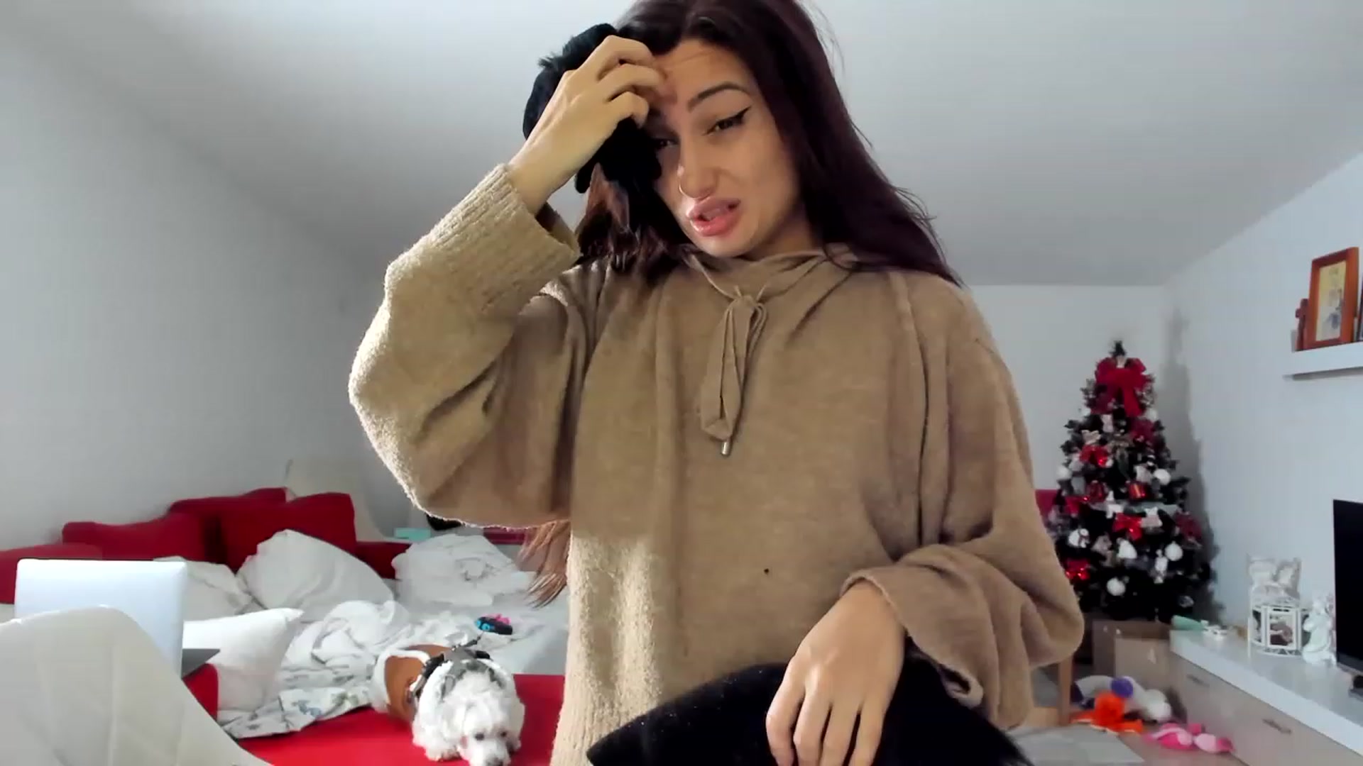 Gallery image thumbnail from Wennndyk's myfreecams stream on, 12/25/2022, 05:51 image 15 of 20