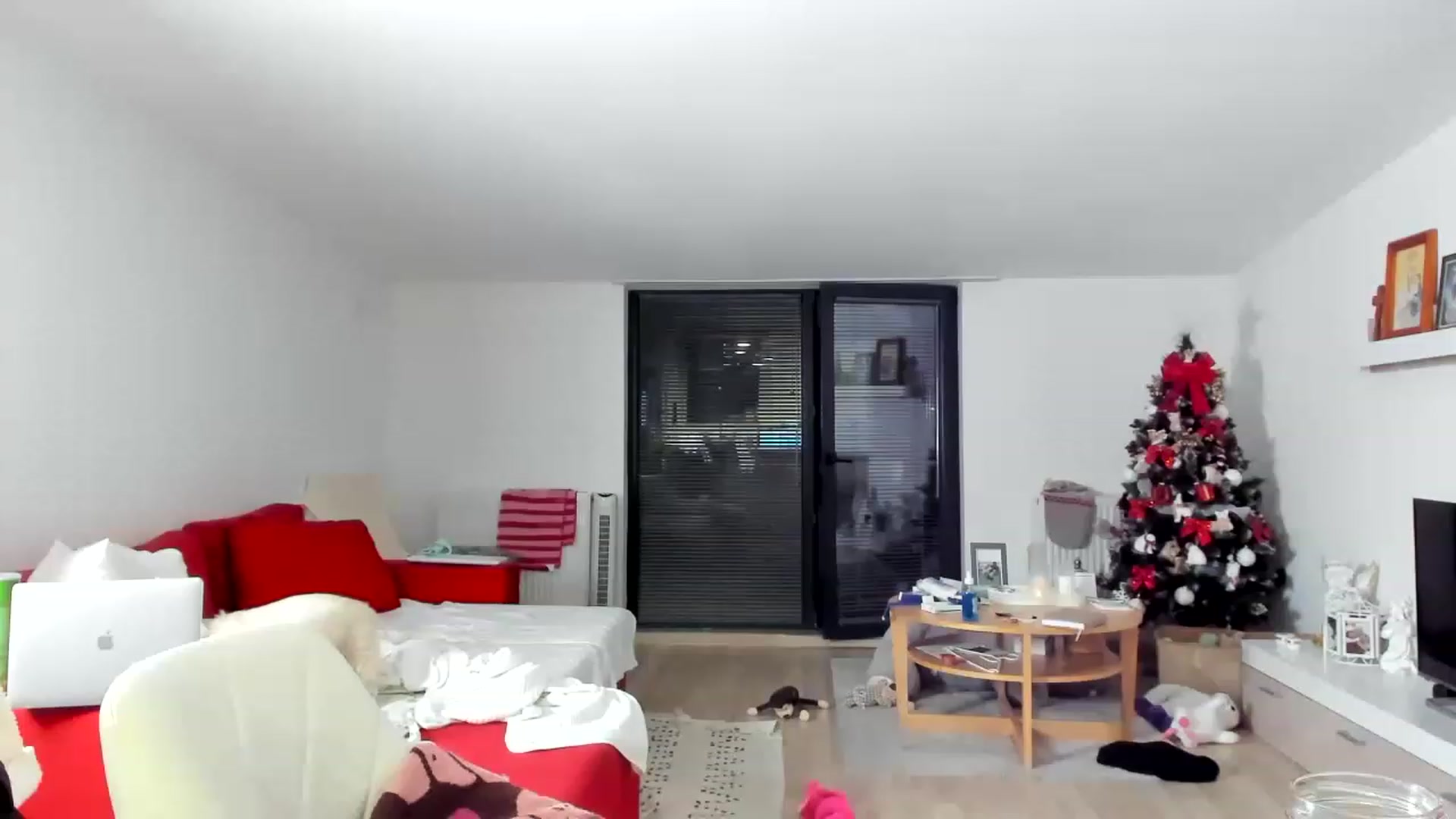 Gallery image thumbnail from Wennndyk's myfreecams stream on, 12/28/2022, 22:15 image 18 of 20