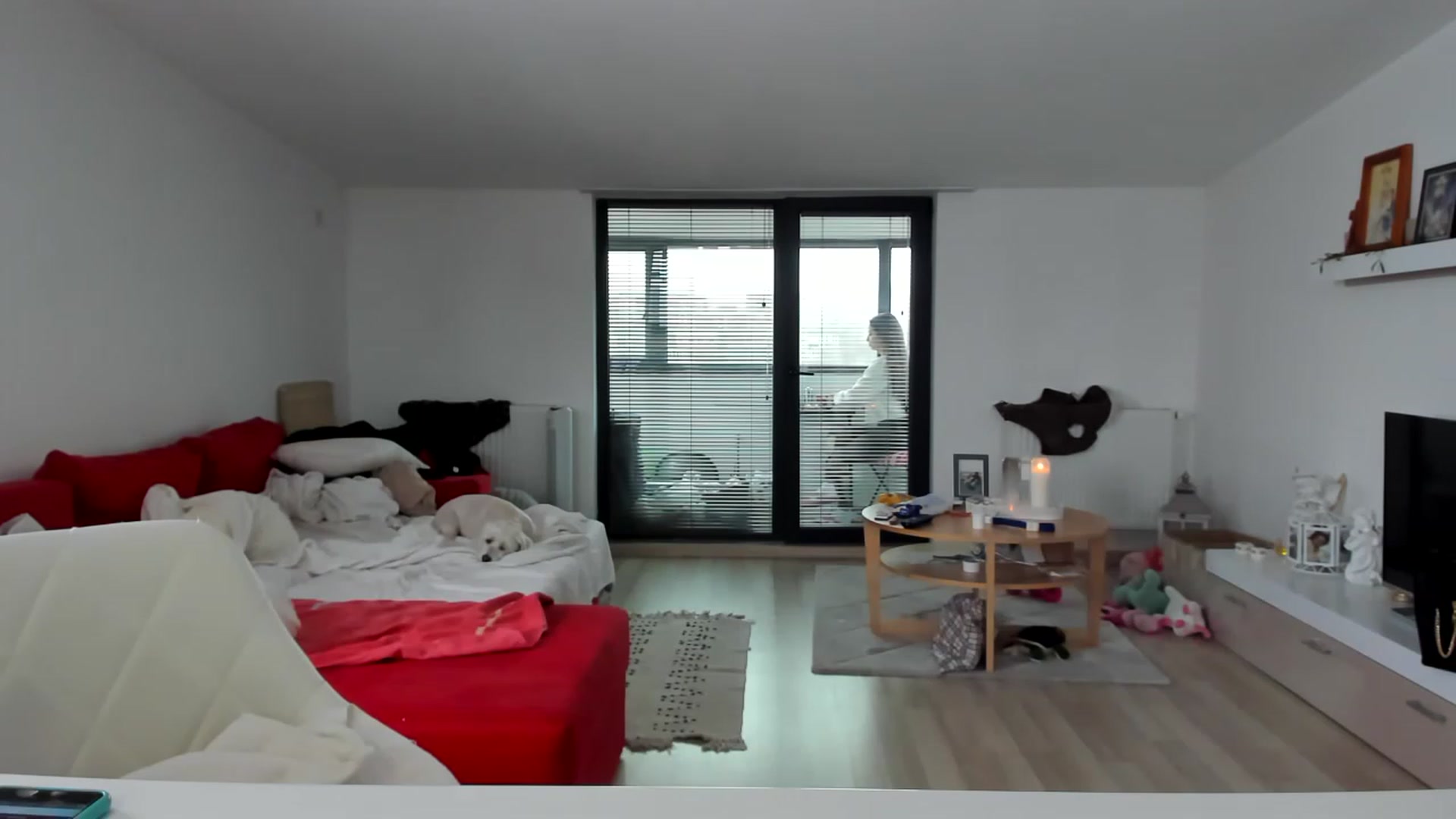 Gallery image thumbnail from Wennndyk's myfreecams stream on, 01/14/2023, 12:44 image 12 of 20