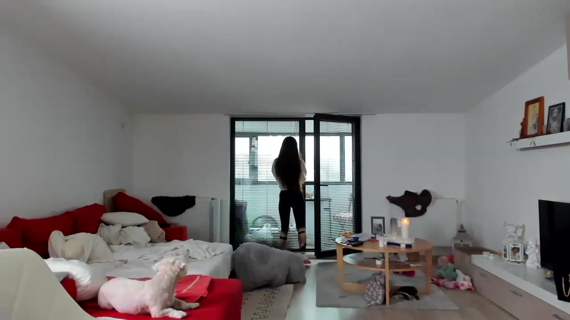 Gallery image thumbnail from Wennndyk's myfreecams stream on, 01/14/2023, 12:44 image 1 of 20