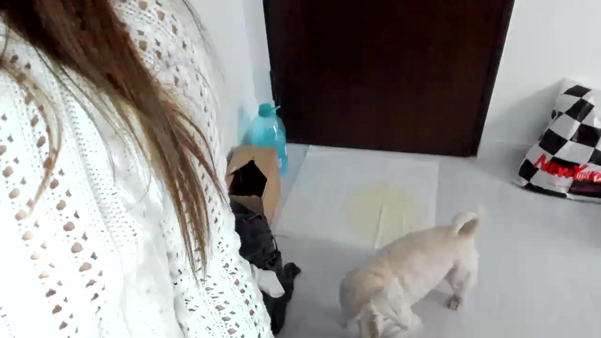 Gallery image thumbnail from Wennndyk's myfreecams stream on, 02/11/2023, 23:59 image 11 of 20