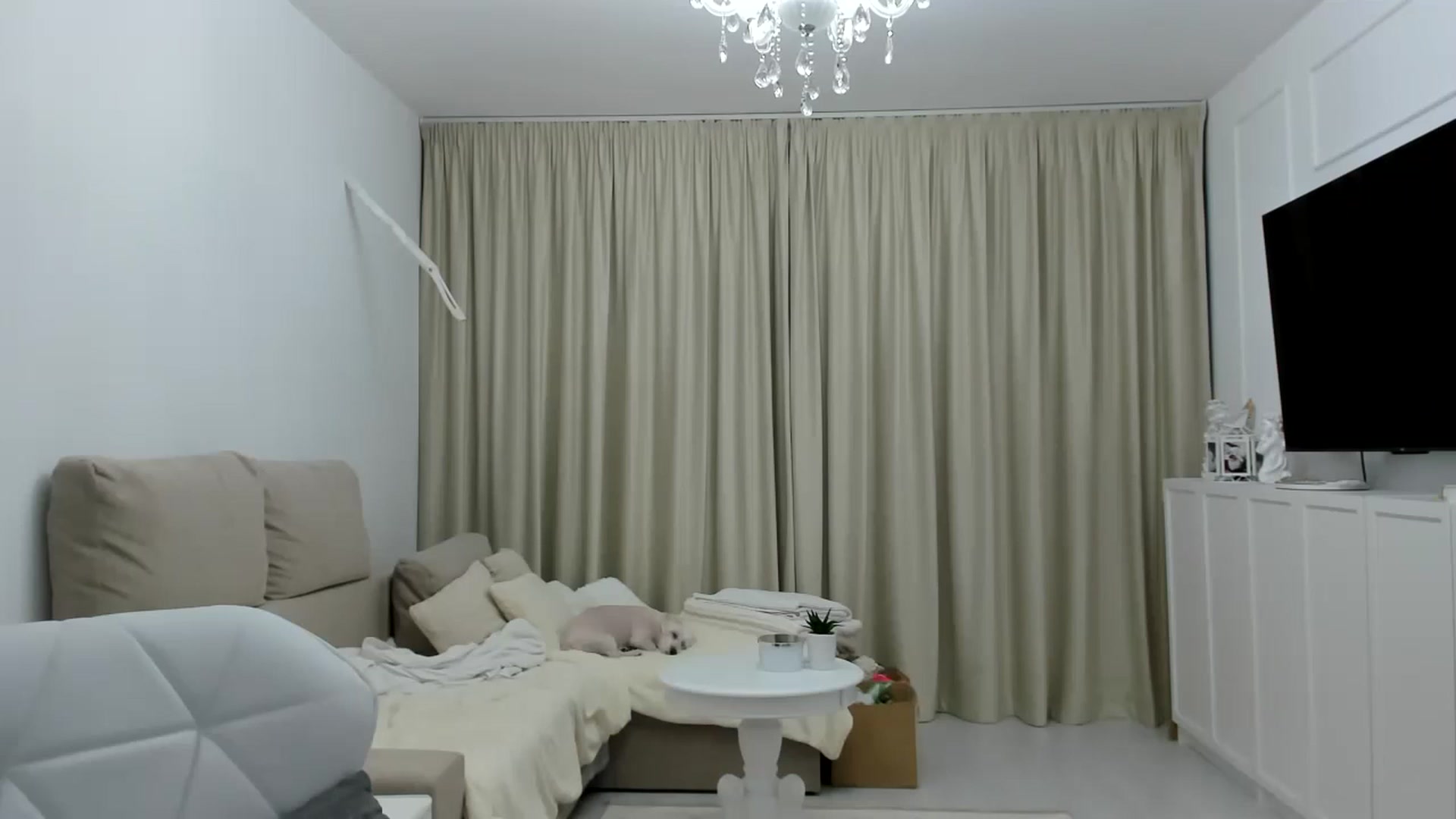 Gallery image thumbnail from Wennndyk's myfreecams stream on, 03/11/2023, 01:28 image 12 of 20