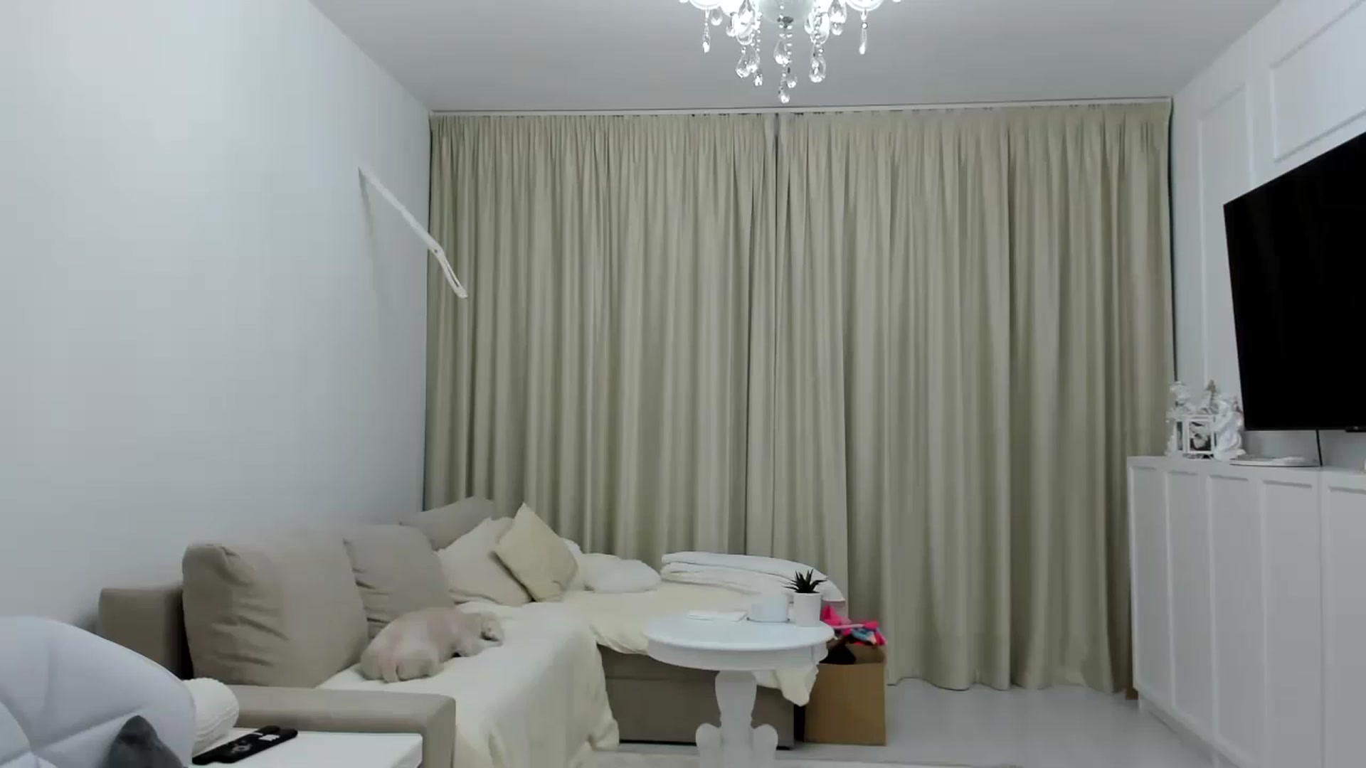 Gallery image thumbnail from Wennndyk's myfreecams stream on, 03/14/2023, 23:23 image 3 of 20