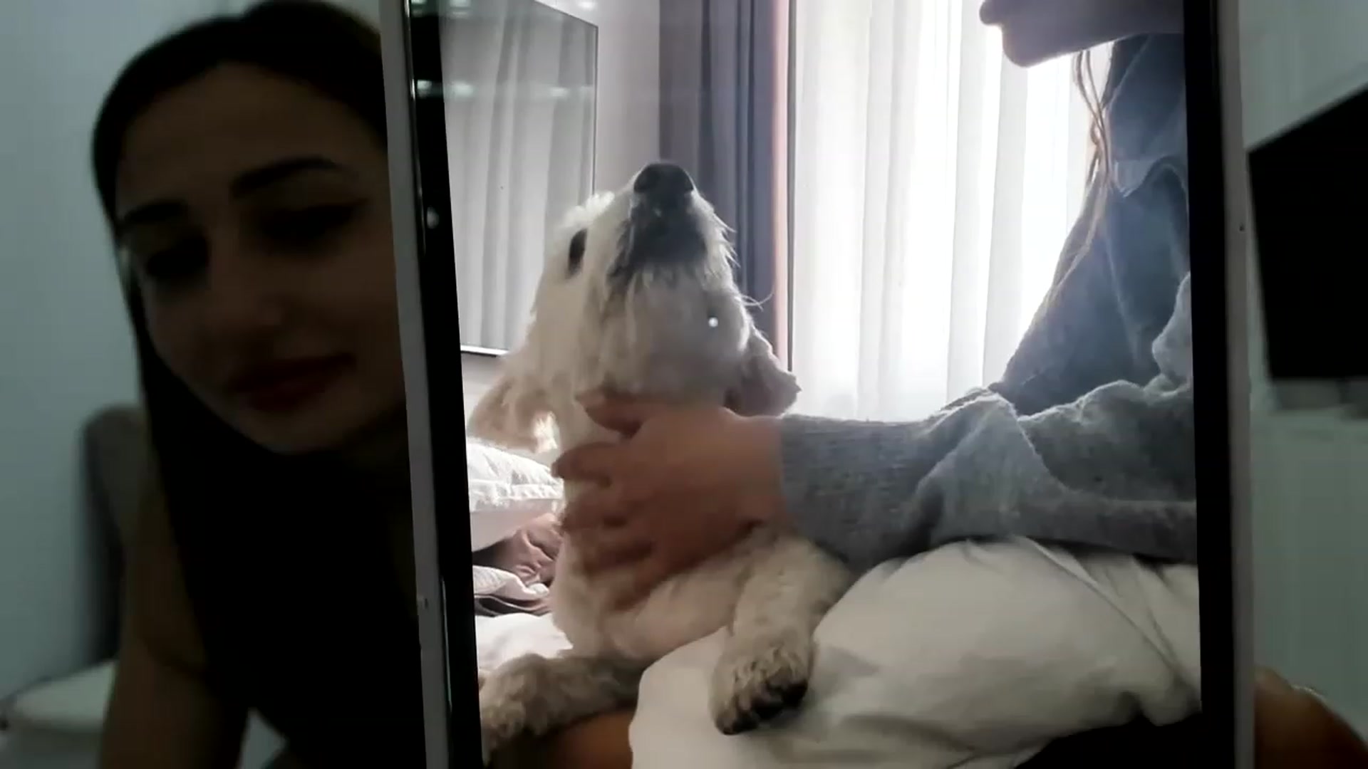 Gallery image thumbnail from Wennndyk's myfreecams stream on, 03/15/2023, 23:25 image 4 of 20
