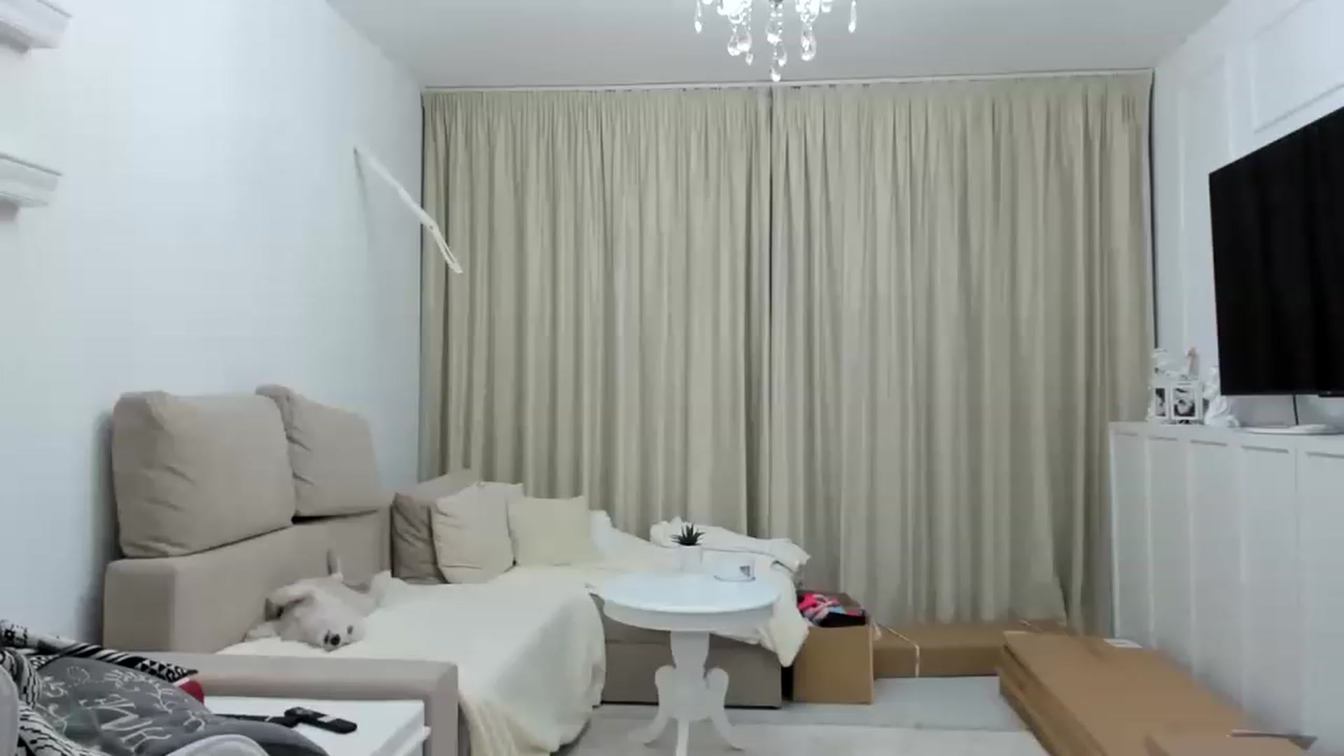 Gallery image thumbnail from Wennndyk's myfreecams stream on, 04/01/2023, 02:04 image 15 of 20