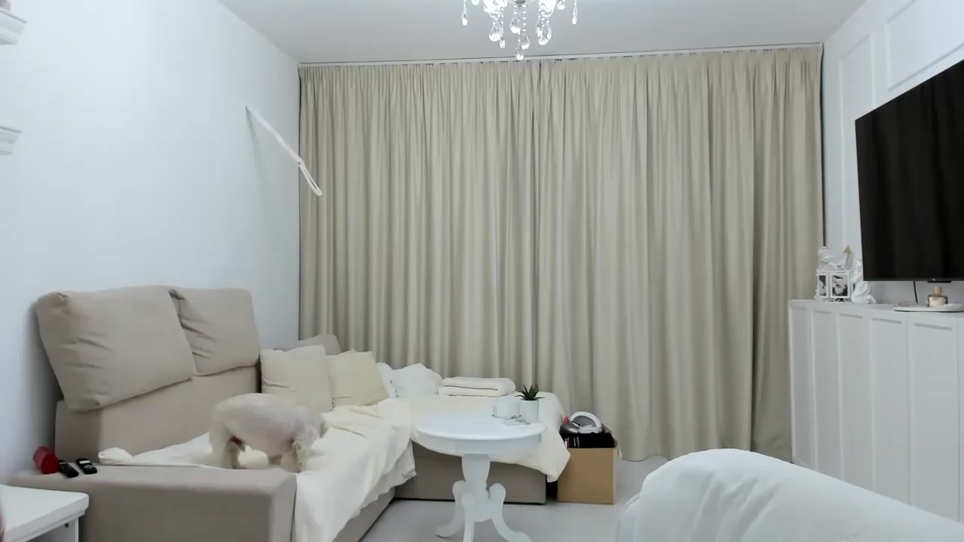 Gallery image thumbnail from Wennndyk's myfreecams stream on, 04/14/2023, 19:53 image 10 of 20