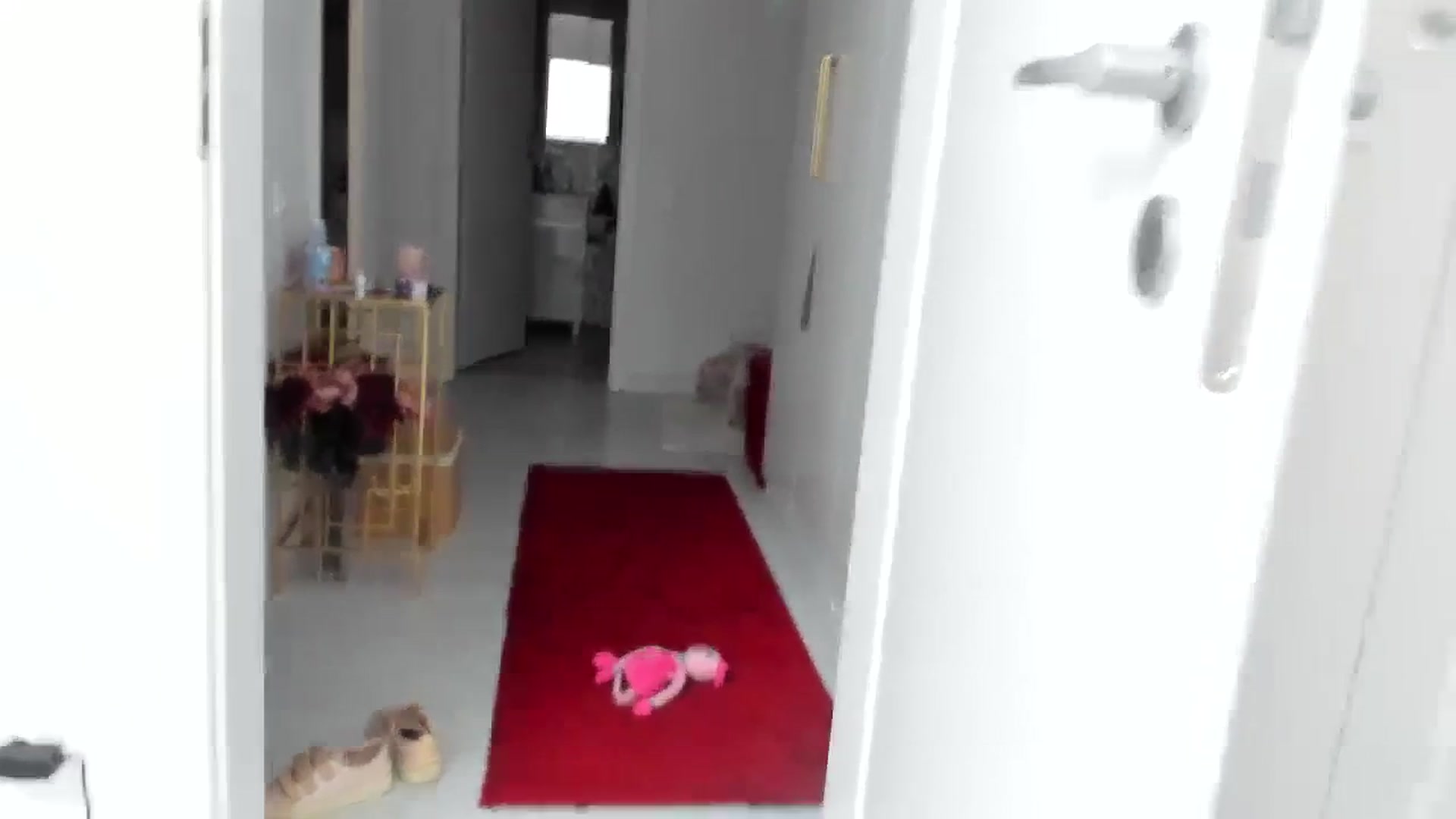 Gallery image thumbnail from Wennndyk's myfreecams stream on, 09/03/2023, 22:09 image 5 of 20