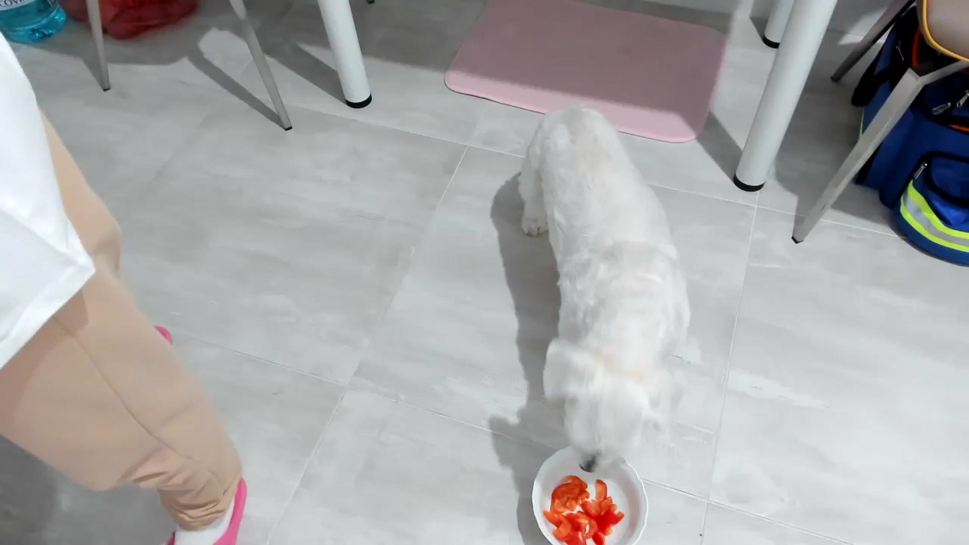 Gallery image thumbnail from Wennndyk's myfreecams stream on, 09/10/2023, 18:47 image 5 of 20