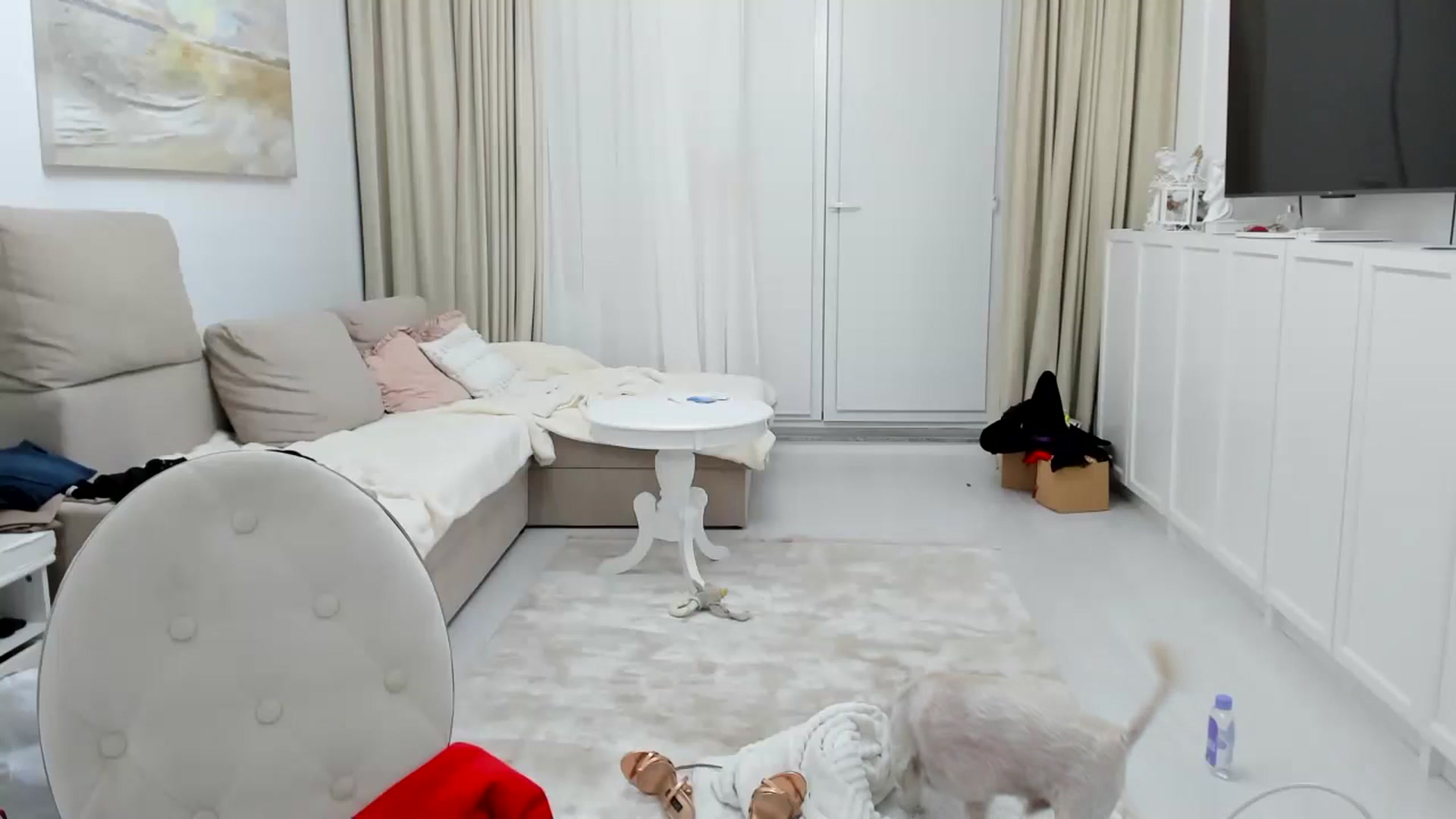Gallery image thumbnail from Wennndyk's myfreecams stream on, 11/05/2023, 24:29 image 17 of 20