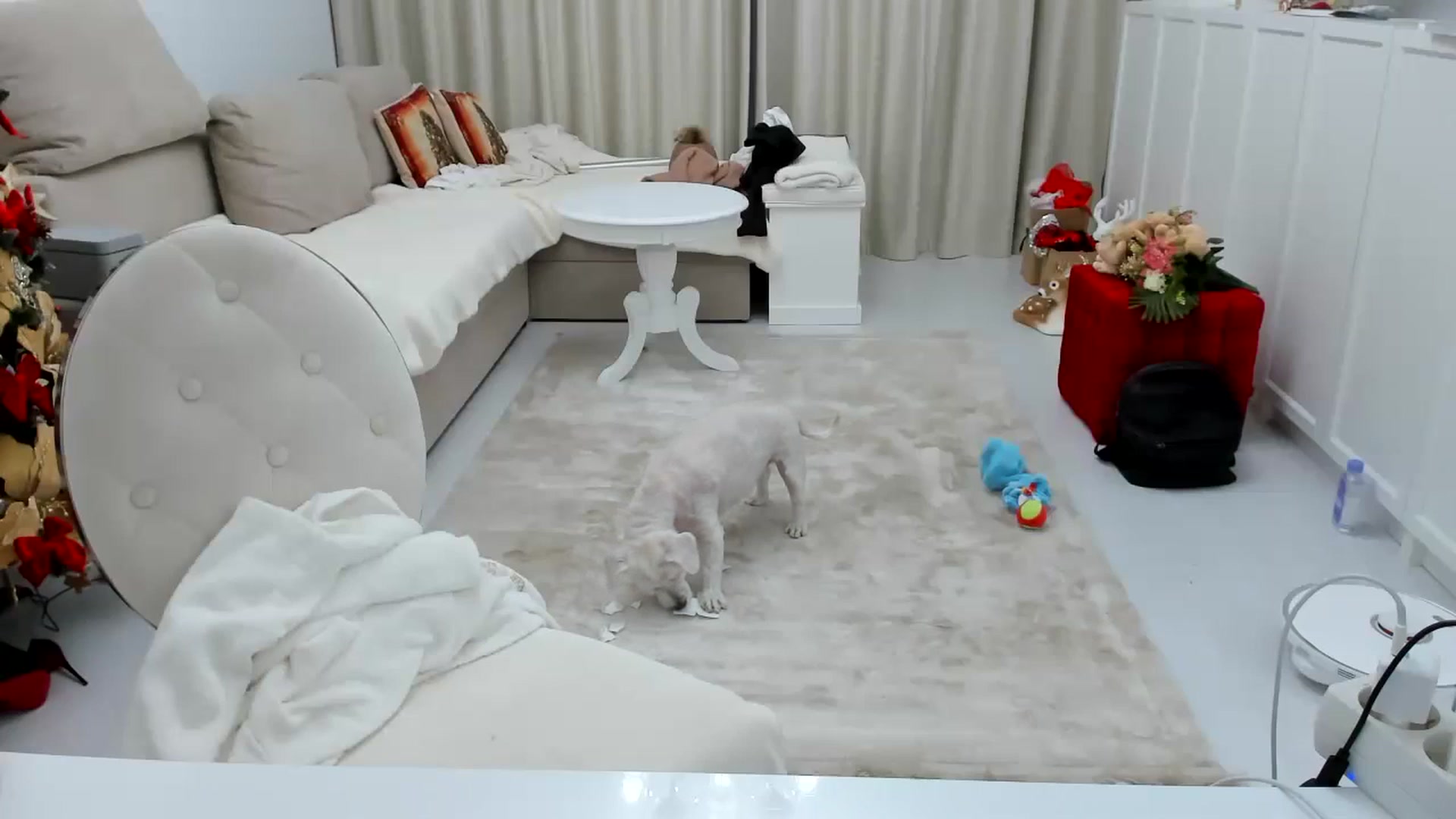 Gallery image thumbnail from Wennndyk's myfreecams stream on, 12/16/2023, 24:13 image 11 of 20