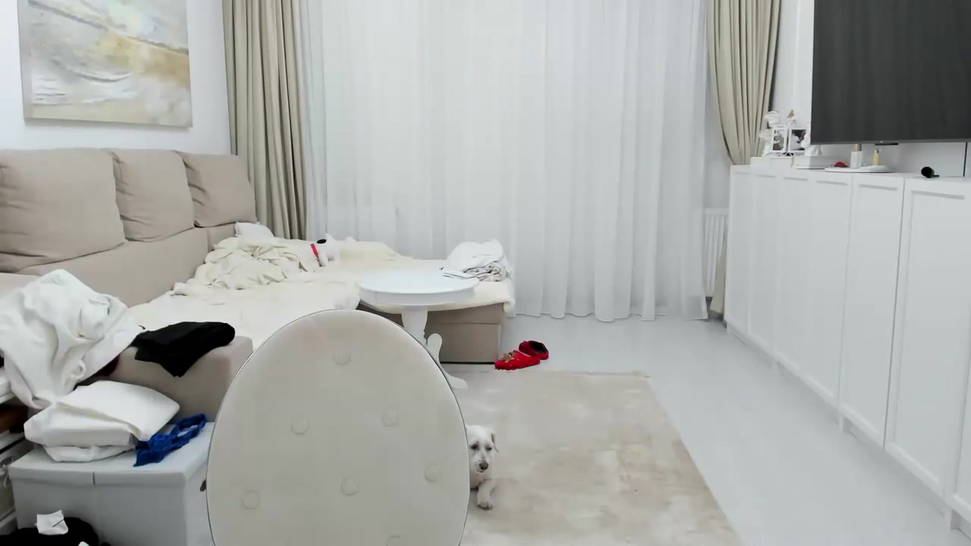Gallery image thumbnail from Wennndyk's myfreecams stream on, 03/04/2024, 22:59 image 17 of 20