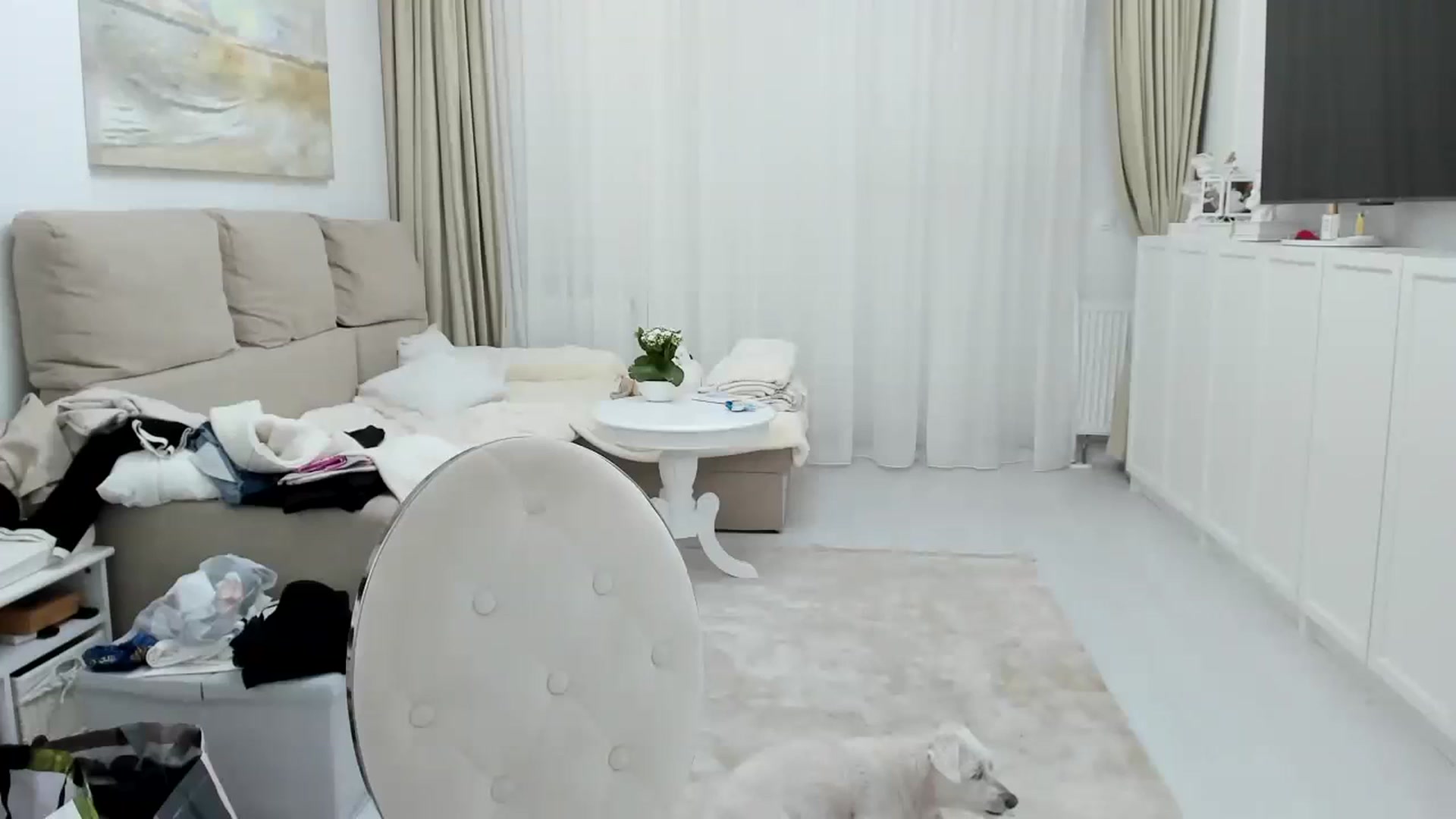 Gallery image thumbnail from Wennndyk's myfreecams stream on, 03/10/2024, 20:04 image 11 of 20