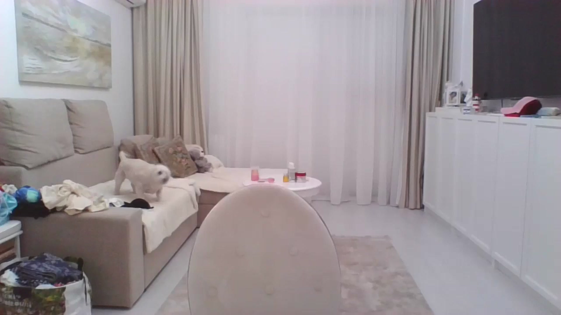 Gallery image thumbnail from Wennndyk's myfreecams stream on, 06/21/2024, 22:19 image 17 of 20
