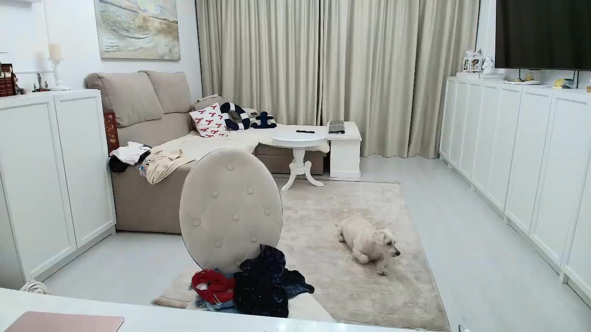 Gallery image thumbnail from Wennndyk's myfreecams stream on, 08/26/2024, 22:25 image 5 of 20