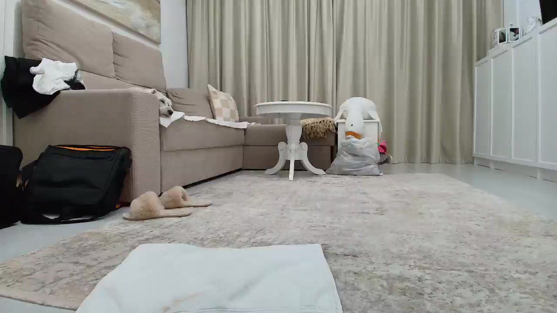 Gallery image thumbnail from Wennndyk's myfreecams stream on, 08/03/2025, 21:05 image 19 of 20