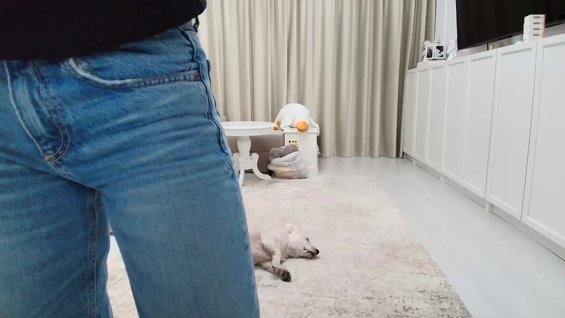 Gallery image thumbnail from Wennndyk's myfreecams stream on, 09/27/2025, 16:09 image 12 of 20