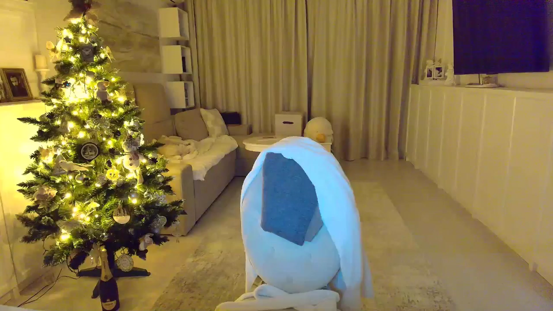 Gallery image thumbnail from Wennndyk's myfreecams stream on, 12/31/2025, 23:44 image 17 of 20