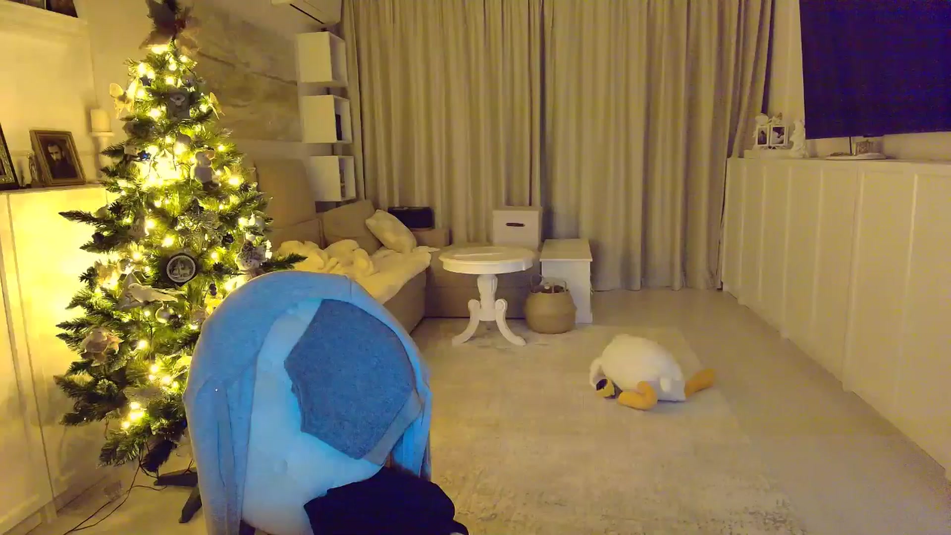 Gallery image thumbnail from Wennndyk's myfreecams stream on, 01/05/2026, 01:16 image 2 of 20