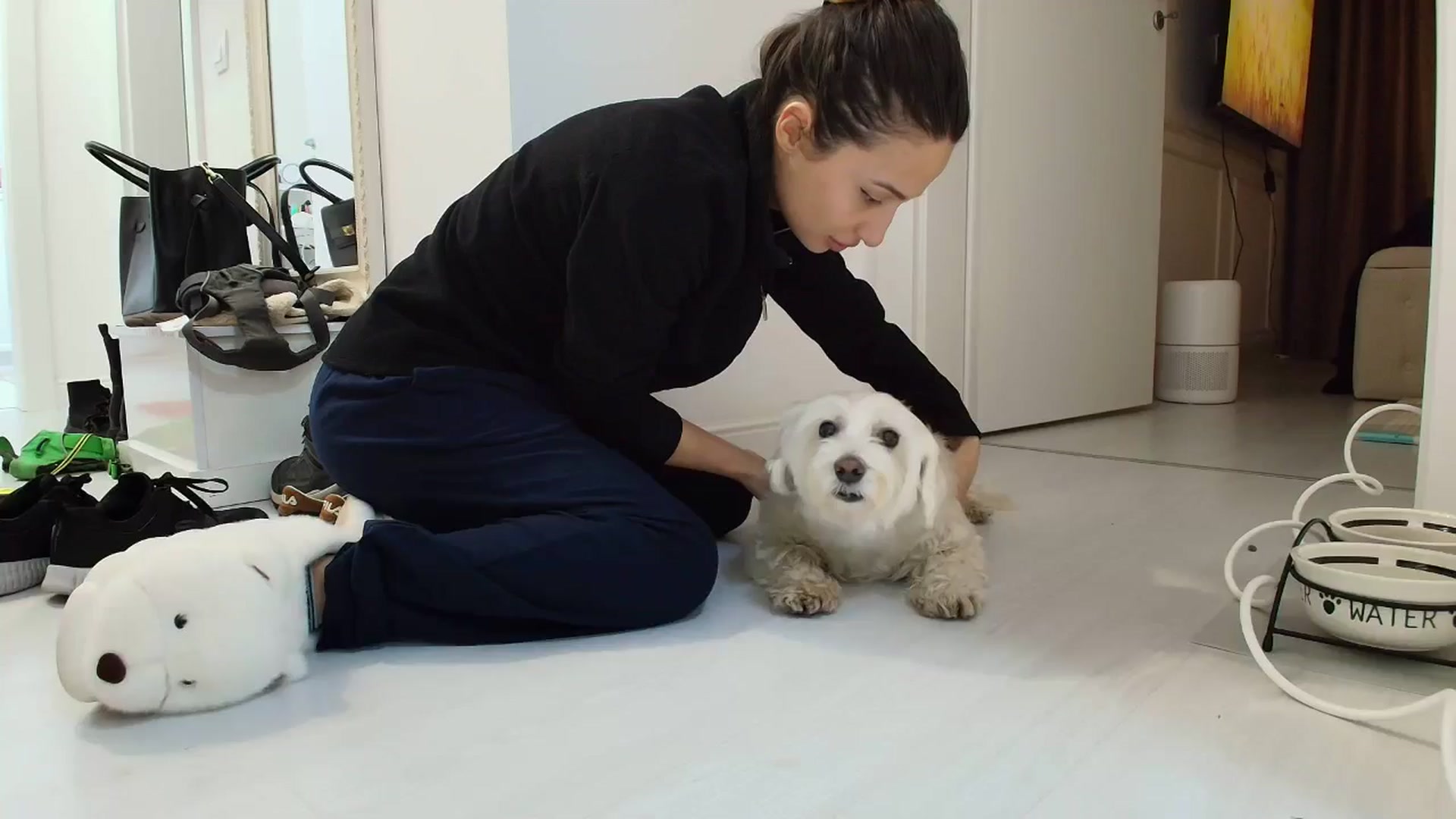 Gallery image thumbnail from Wennndyk's myfreecams stream on, 02/10/2026, 17:26 image 1 of 20