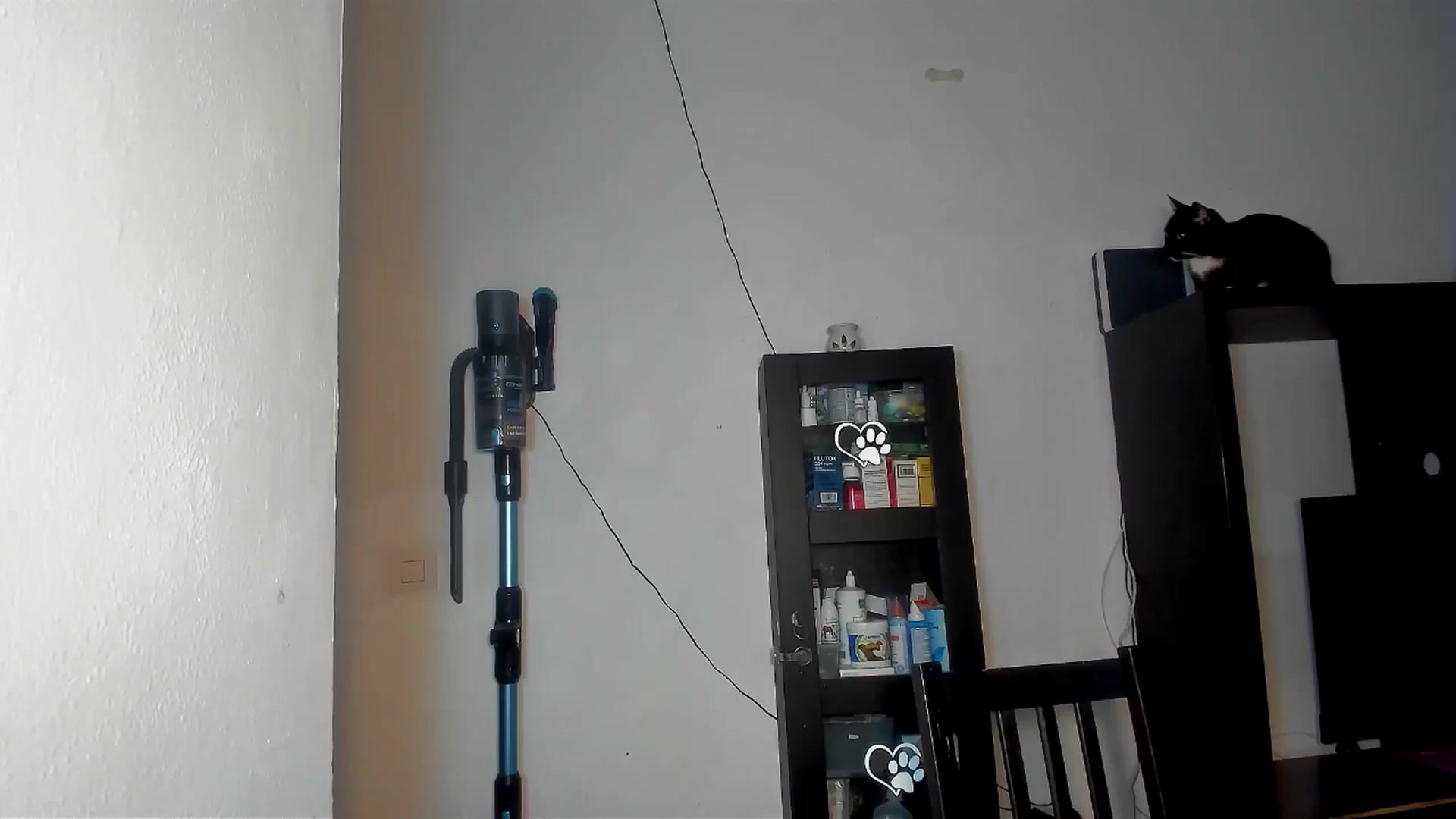Gallery image thumbnail from WetCamelToe_'s myfreecams stream on, 03/25/2025, 19:24 image 18 of 20