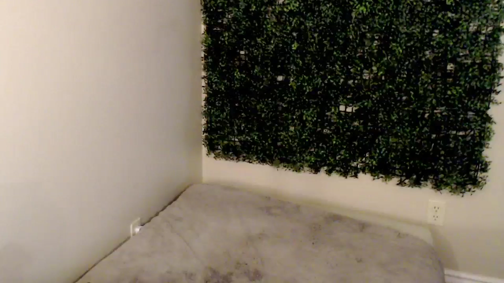Gallery image thumbnail from WetNWildXx's myfreecams stream on, 06/07/2025, 15:51 image 10 of 20