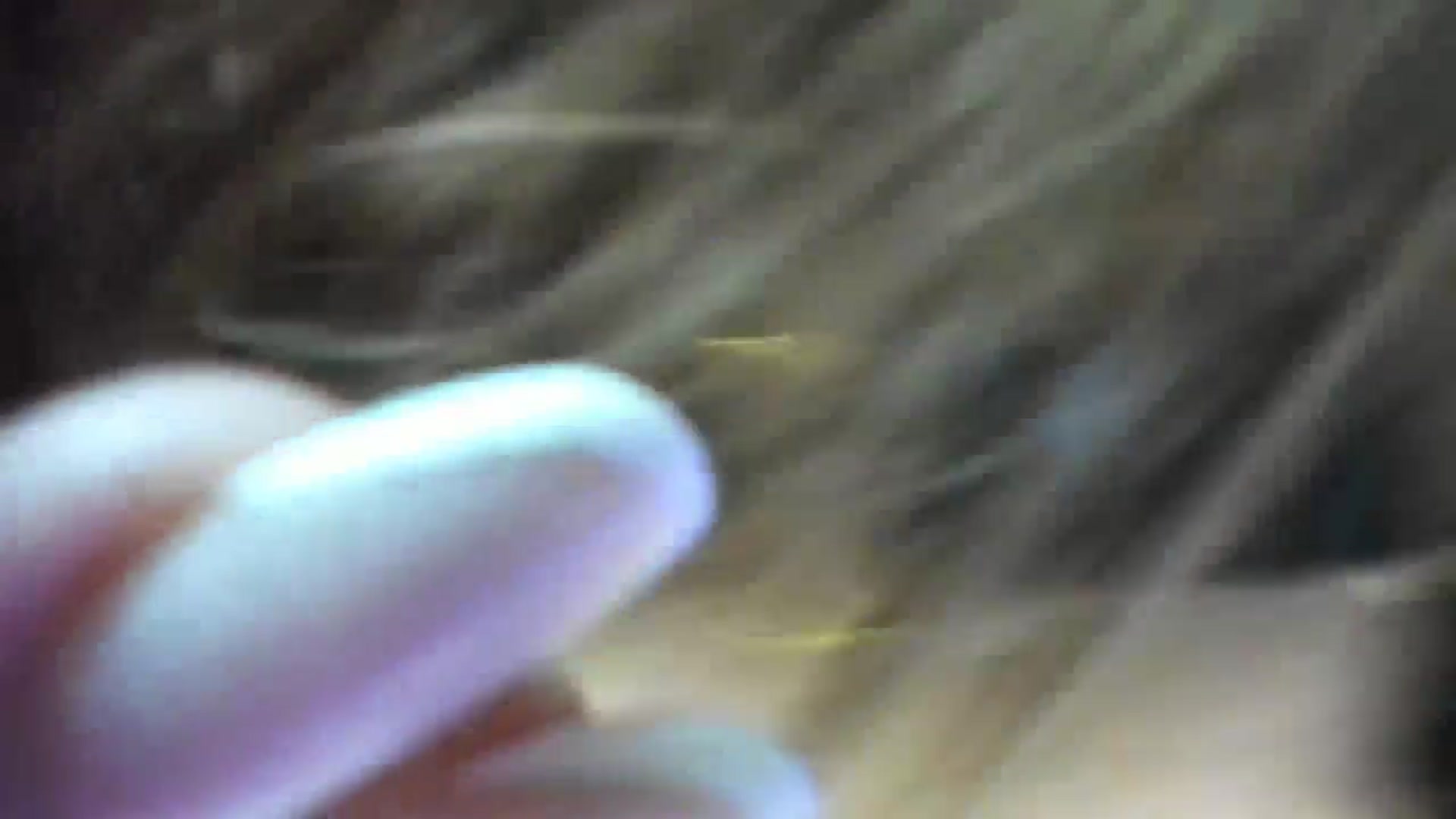 Gallery image thumbnail from WetSelf's myfreecams stream on, 05/07/2025, 06:49 image 12 of 20