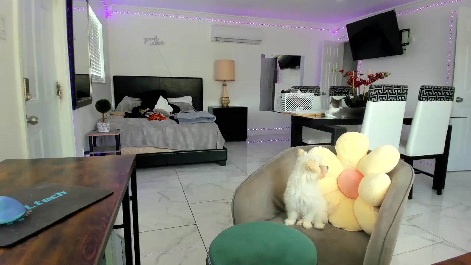 Gallery image thumbnail from Wet_Princess's myfreecams stream on, 04/27/2024, 15:46 image 2 of 20