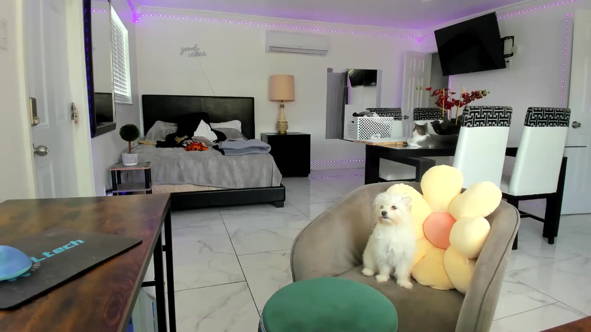 Gallery image thumbnail from Wet_Princess's myfreecams stream on, 04/27/2024, 15:46 image 3 of 20