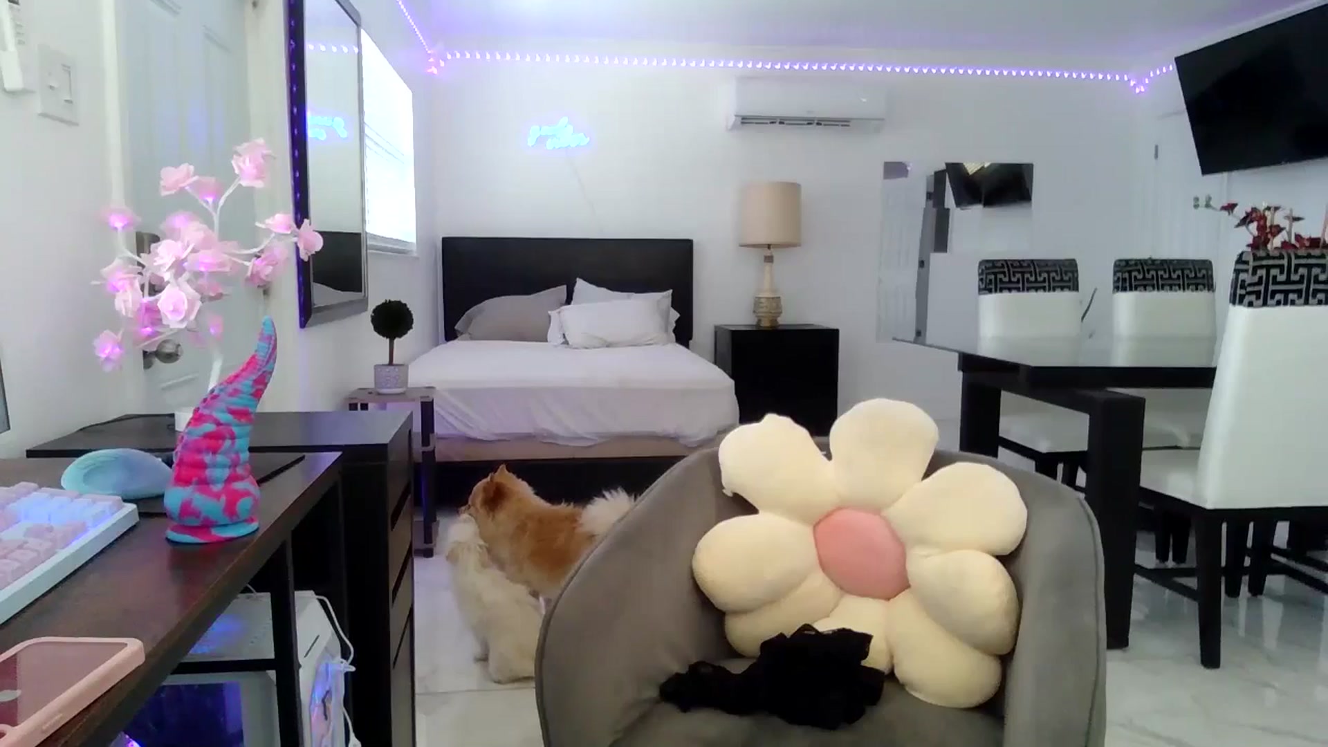 Gallery image thumbnail from Wet_Princess's myfreecams stream on, 05/25/2024, 18:30 image 19 of 20