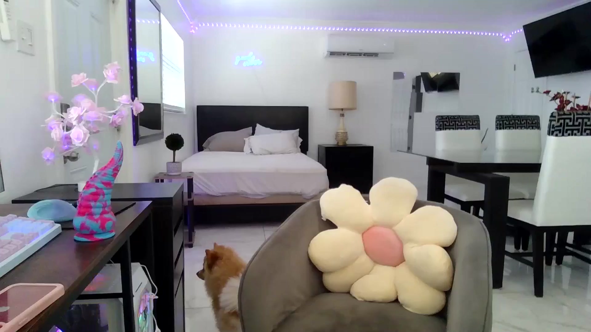 Gallery image thumbnail from Wet_Princess's myfreecams stream on, 05/25/2024, 18:30 image 15 of 20