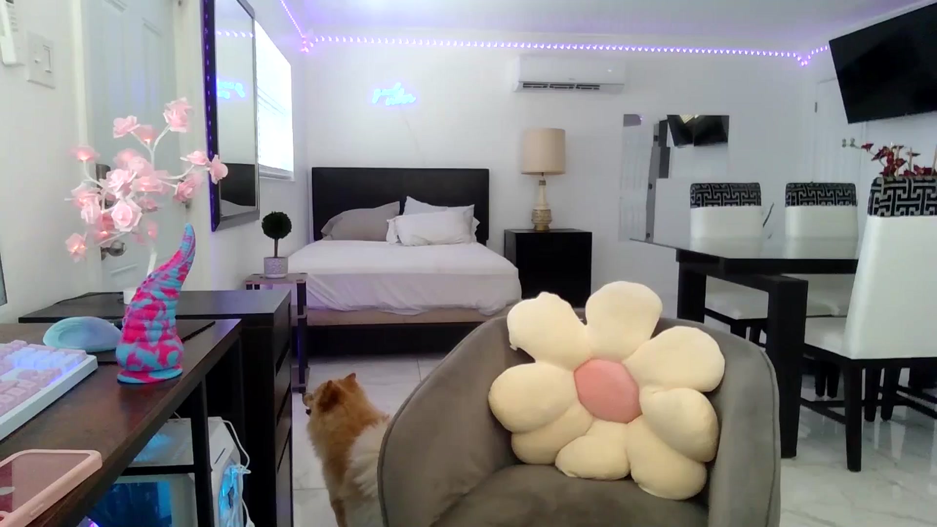 Gallery image thumbnail from Wet_Princess's myfreecams stream on, 05/25/2024, 18:30 image 16 of 20